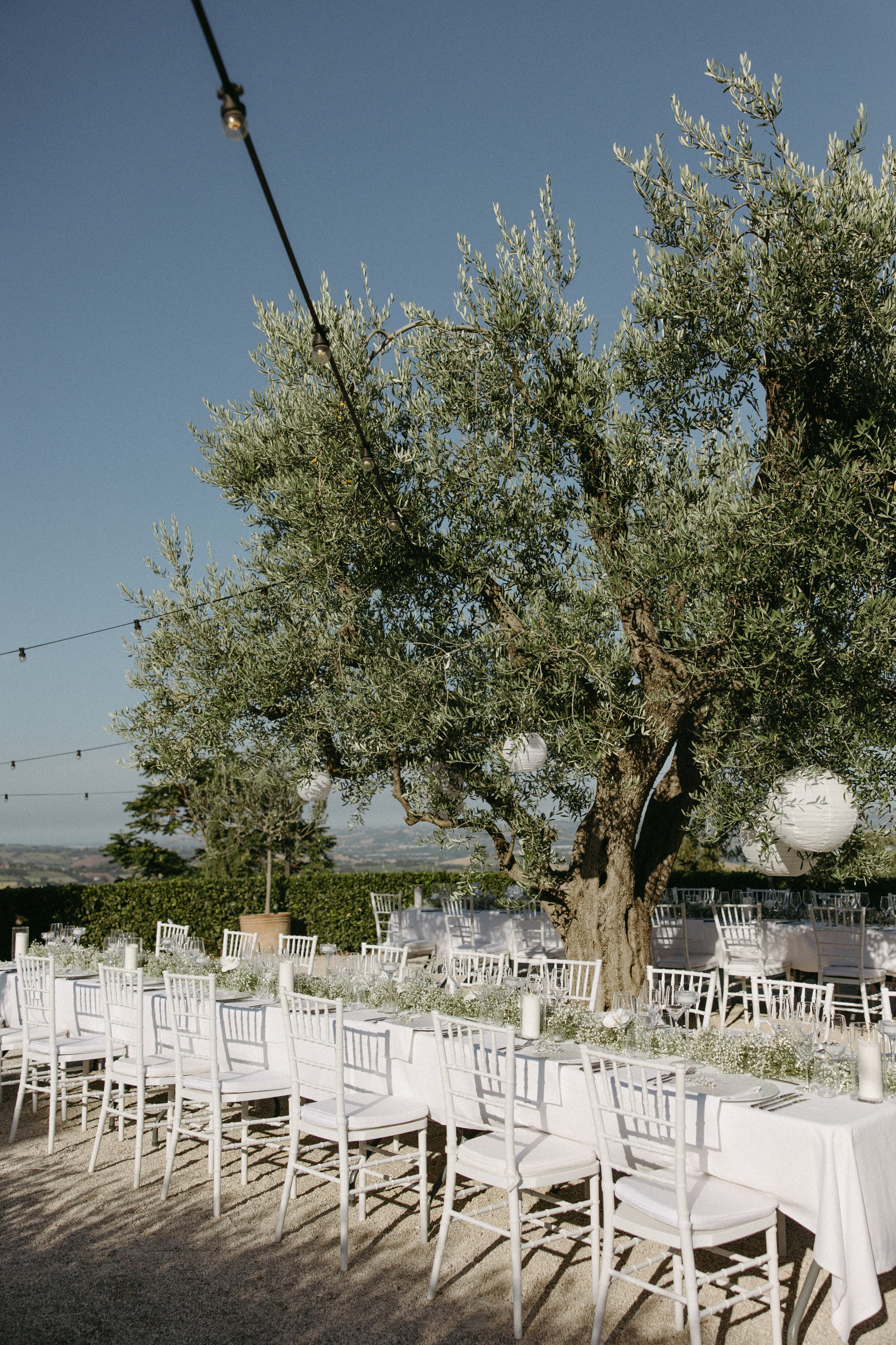 Sofia&Falk. Wedding photographer Italy