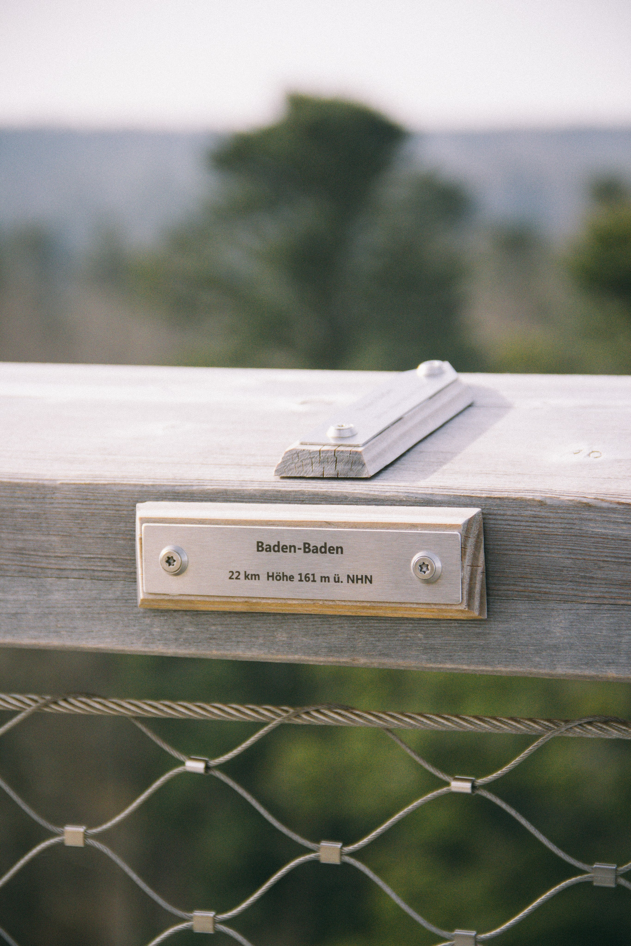 Над вершинами деревьев Baumwipfelpfad. Фотограф в Германии — Мария Чистякова