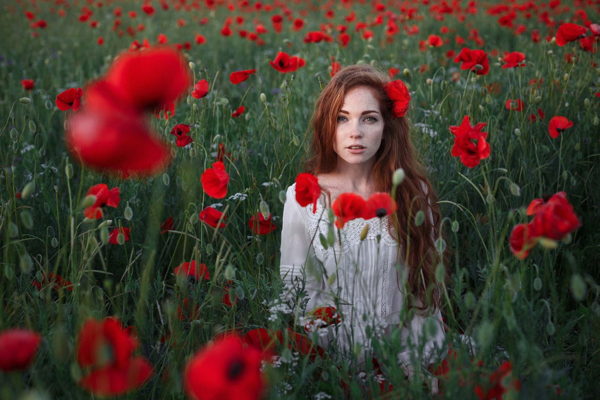 In the poppy field. Wedding photograper — Alex Popov photography Germany, Switzerland, Italy, France. Based in Stuttgart