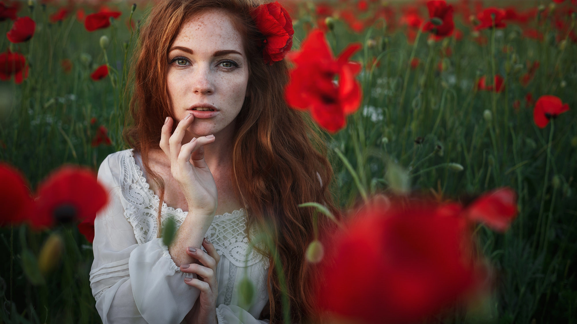 In the poppy field. Wedding photograper — Alex Popov photography Germany, Switzerland, Italy, France. Based in Stuttgart
