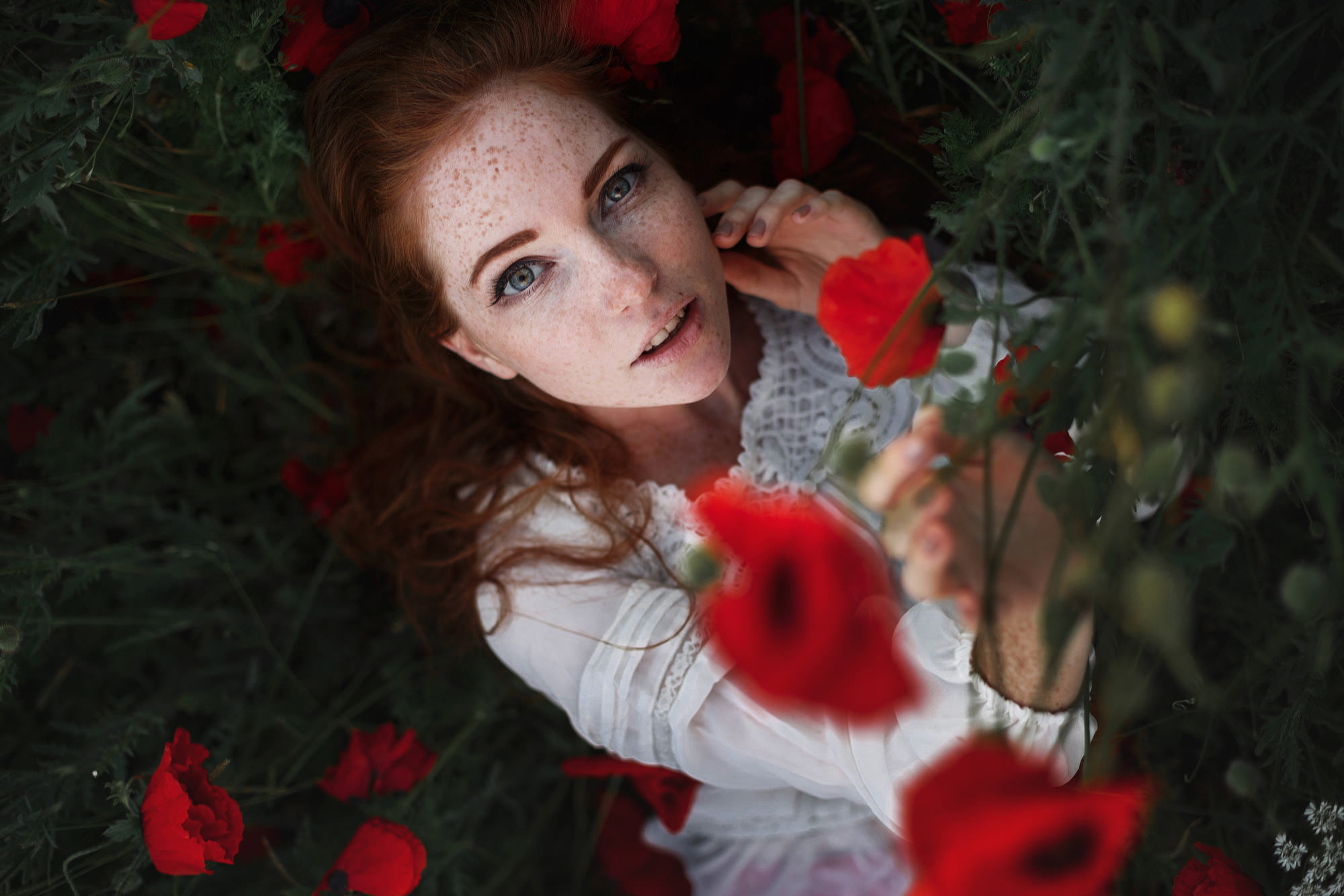 In the poppy field. Wedding photograper — Alex Popov photography Germany, Switzerland, Italy, France. Based in Stuttgart