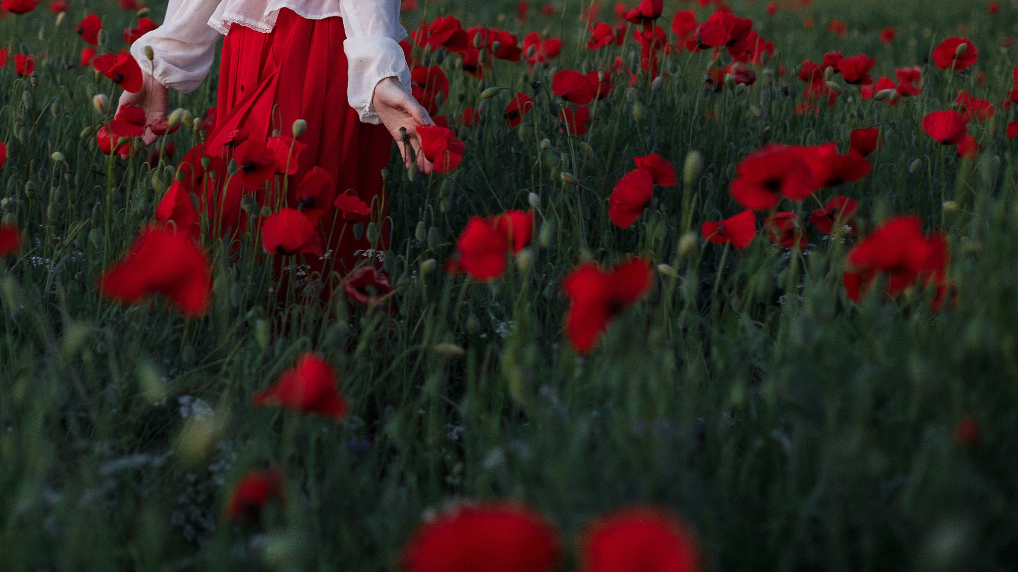 In the poppy field. Wedding photograper — Alex Popov photography Germany, Switzerland, Italy, France. Based in Stuttgart