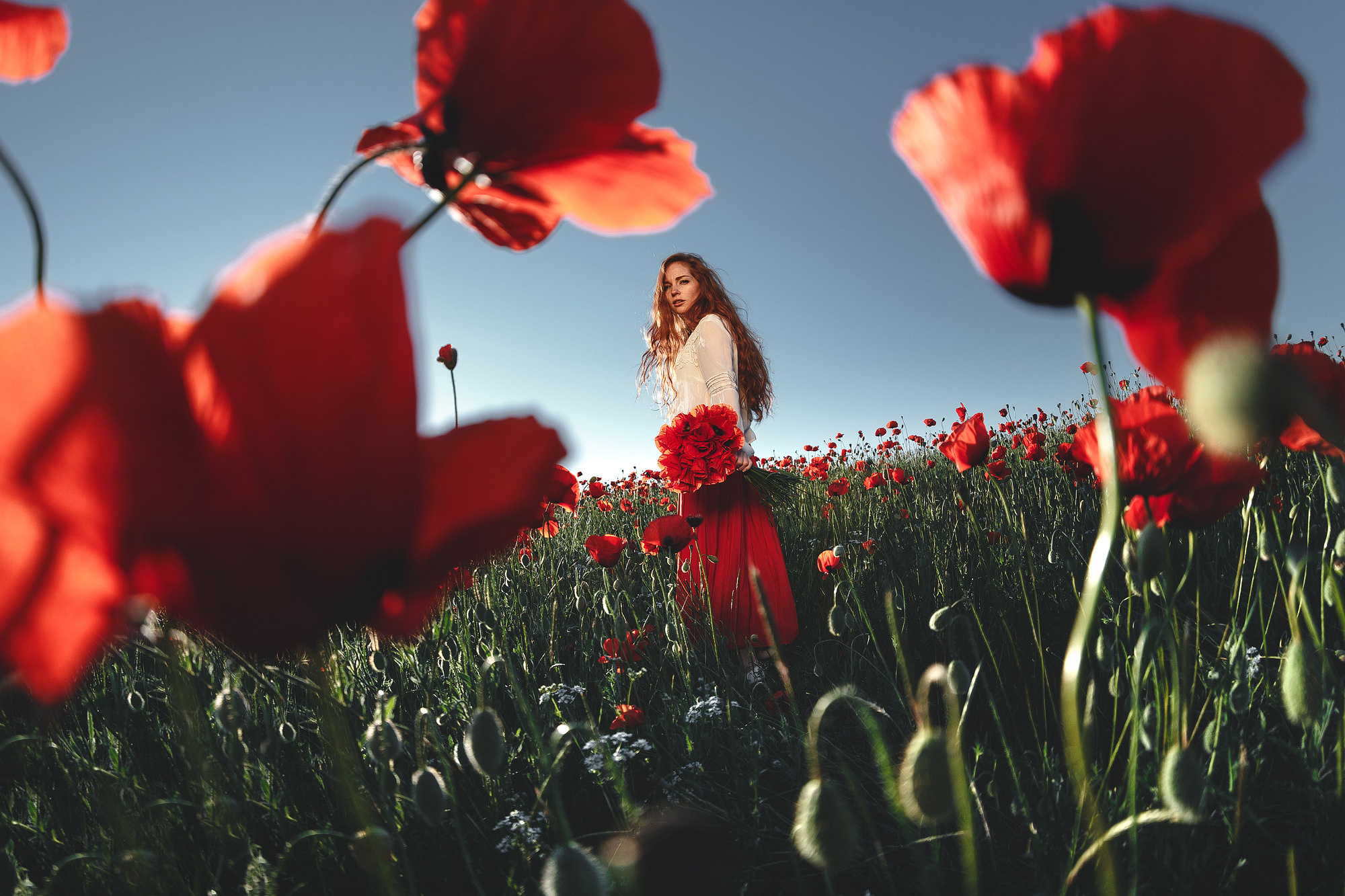 In the poppy field. Wedding photograper — Alex Popov photography Germany, Switzerland, Italy, France. Based in Stuttgart