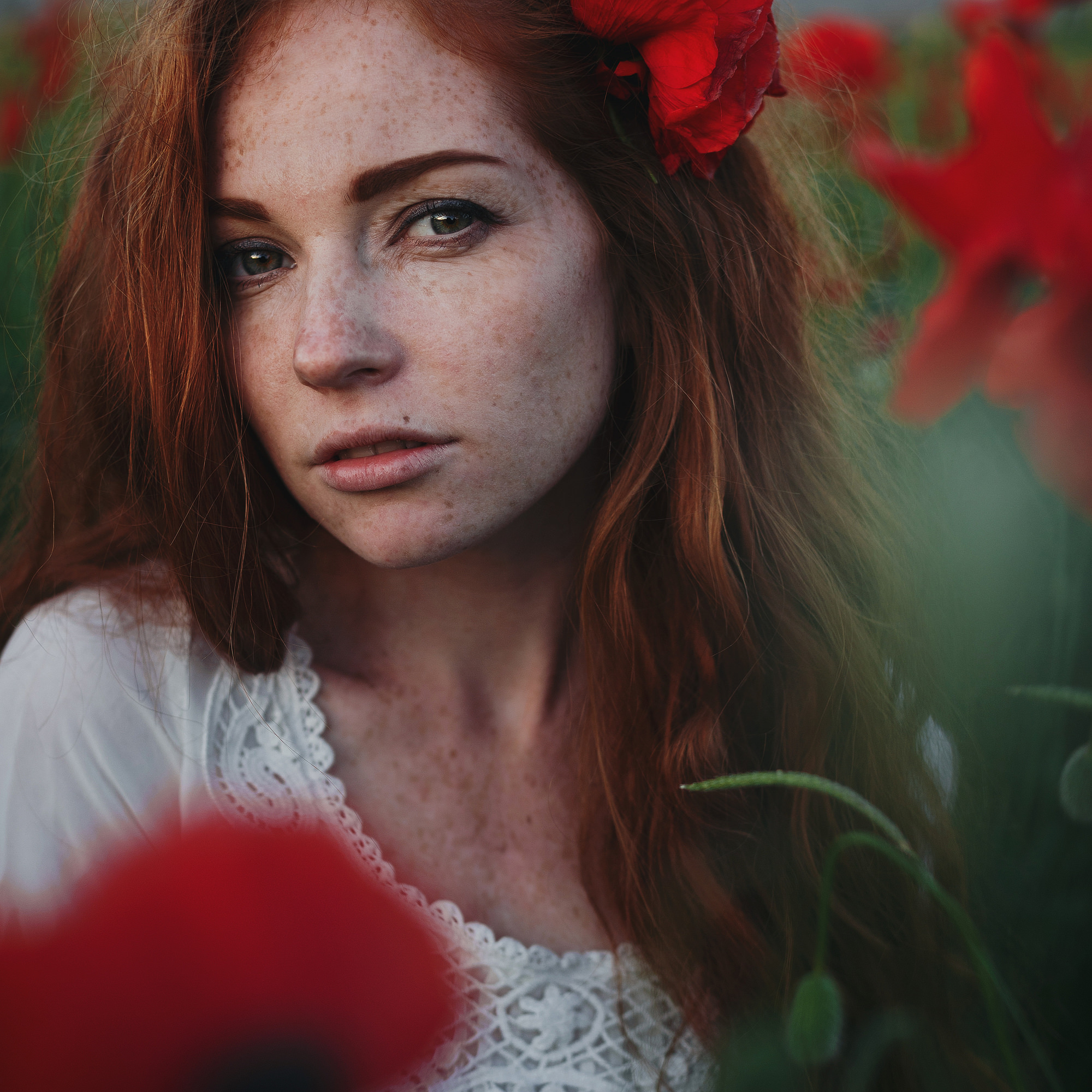 In the poppy field. Wedding photograper — Alex Popov photography Germany, Switzerland, Italy, France. Based in Stuttgart