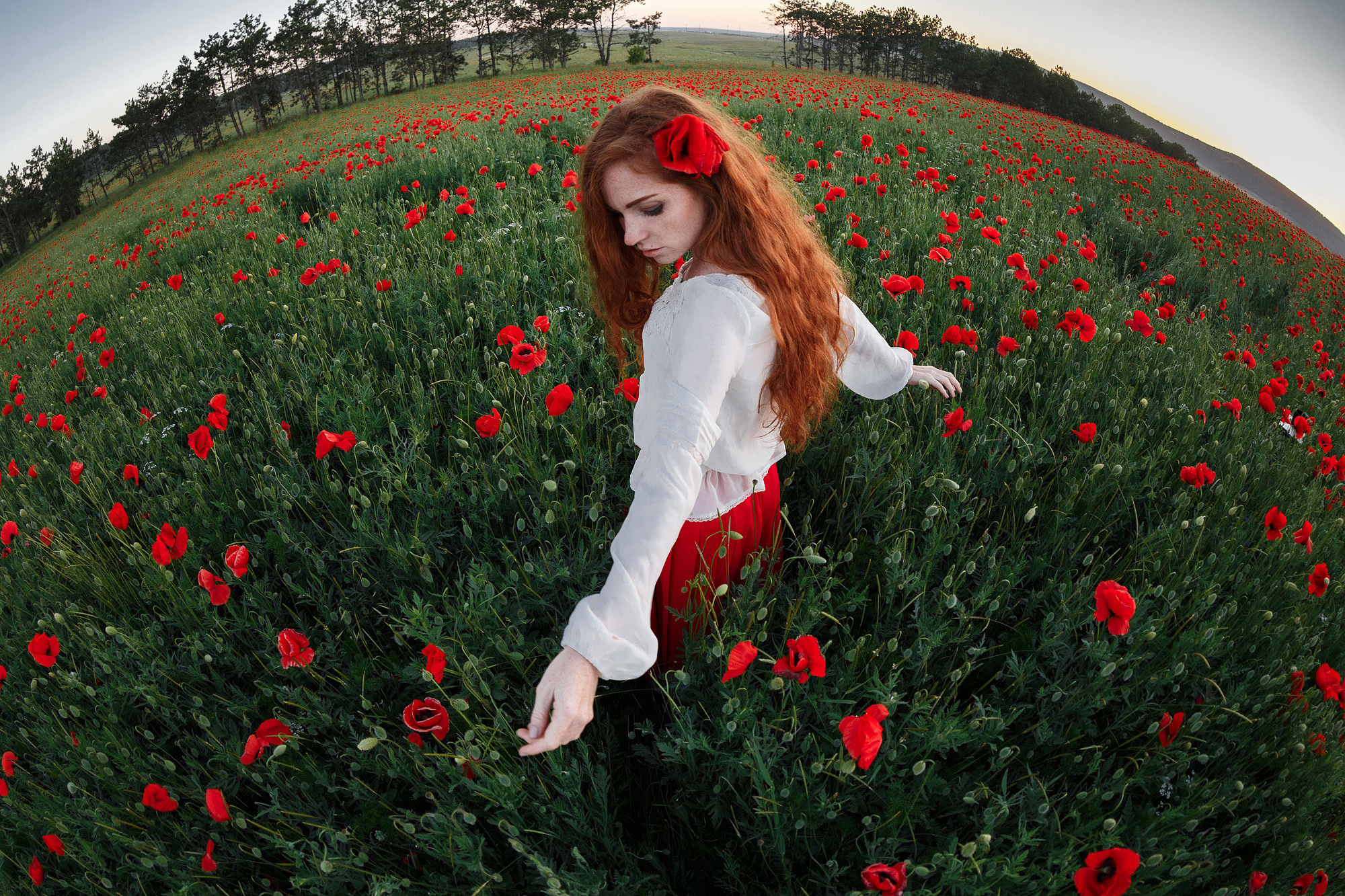 In the poppy field. Wedding photograper — Alex Popov photography Germany, Switzerland, Italy, France. Based in Stuttgart