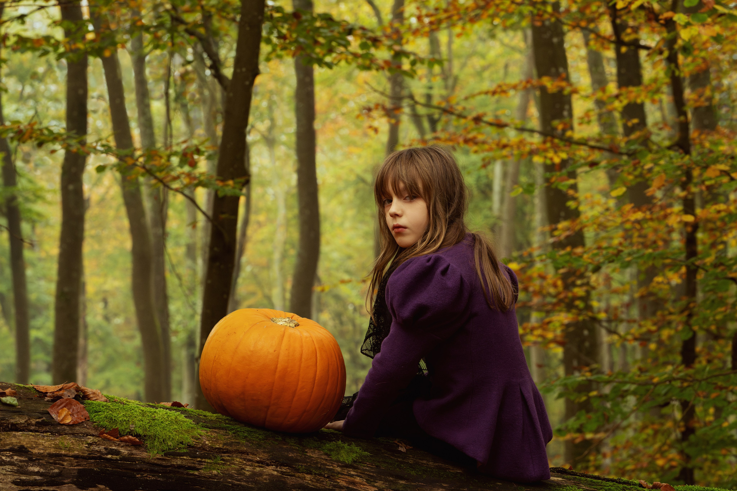 Kinder. Kinder und Familienfotografie Wittlich und Trier Umgebung