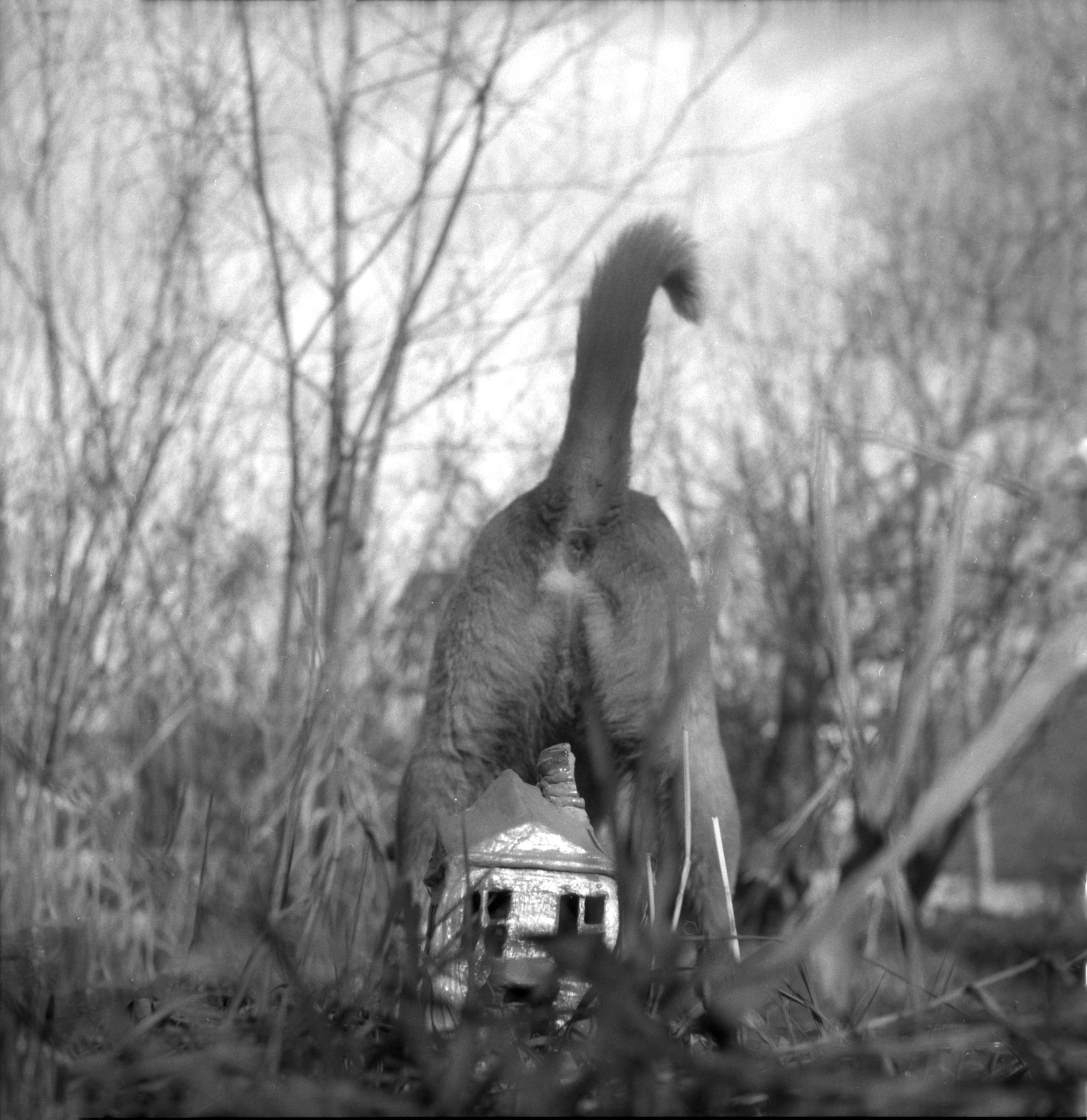 When it is day for angels in heaven, it is night for people on earth. Natalia Parfenova visual artist film photographer