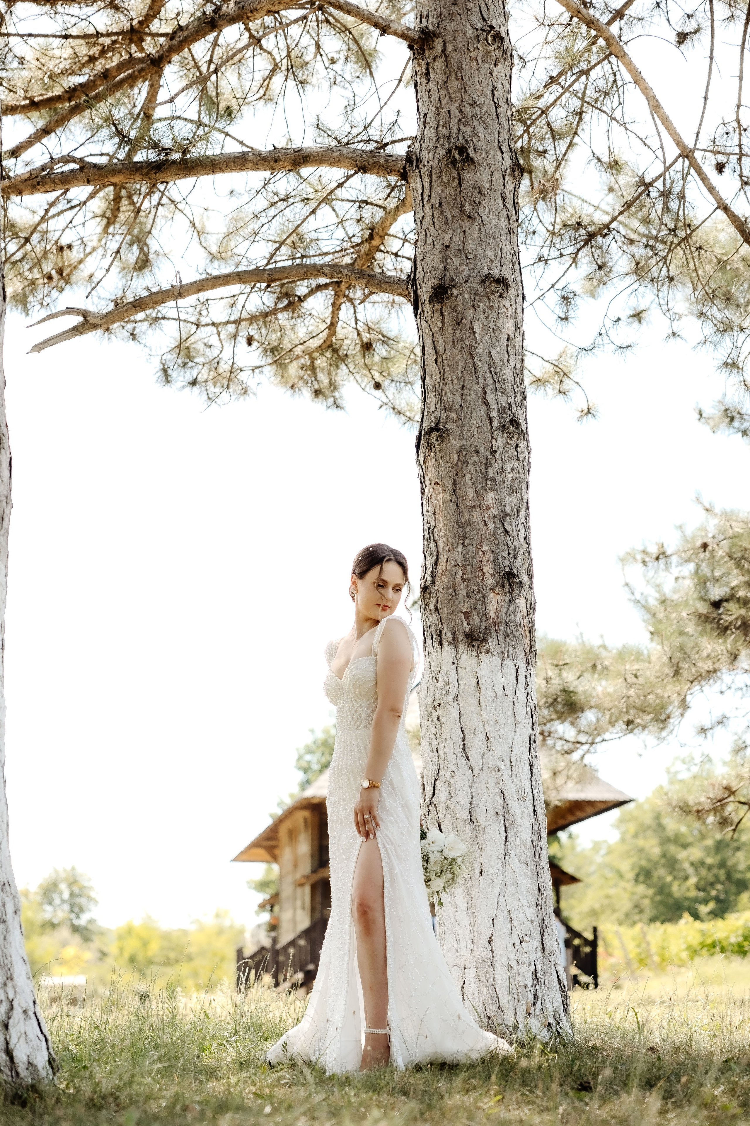 Radu & Ludmila. Servicii Foto/Video