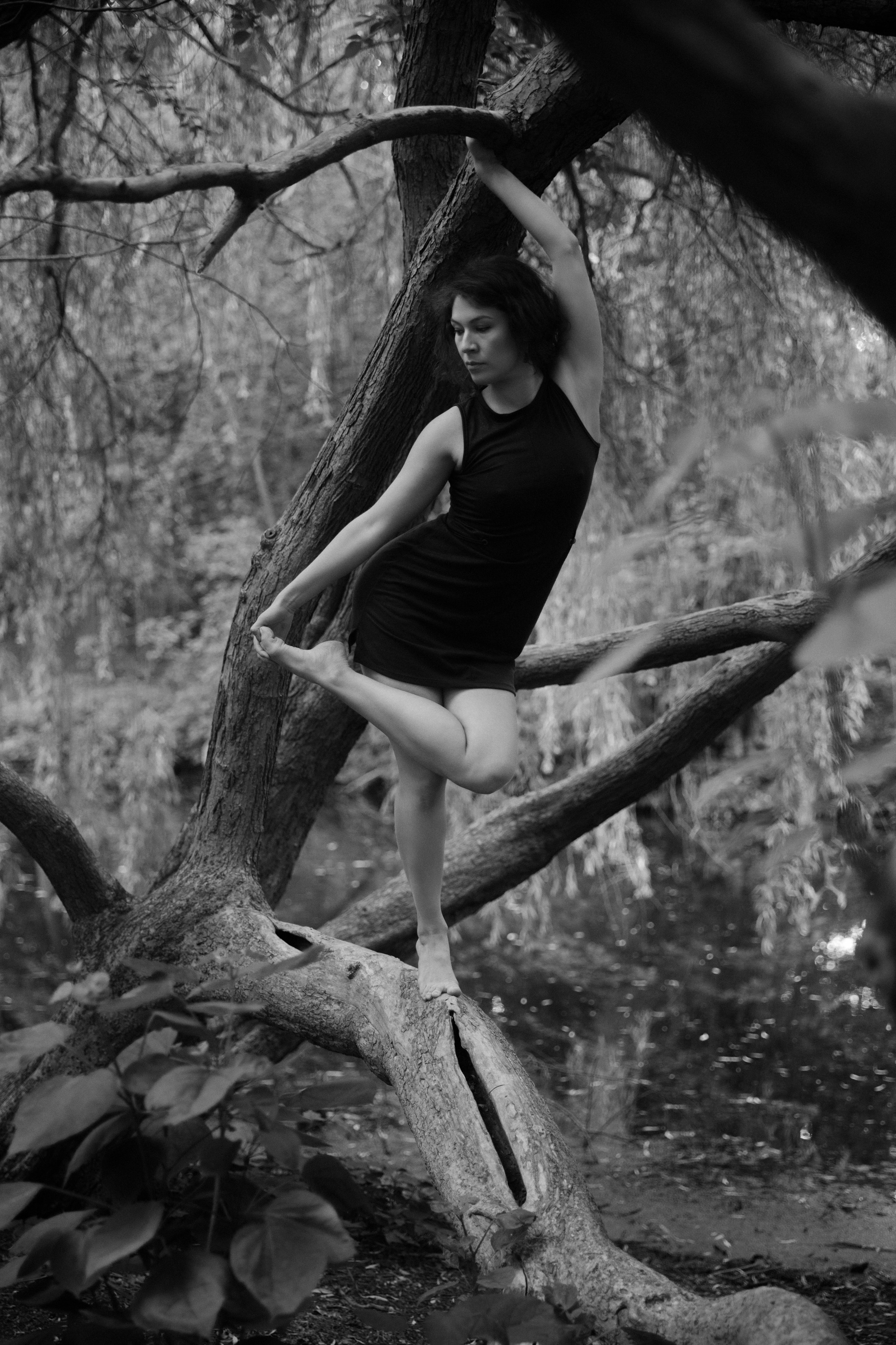 Balletttänzerin balanciert auf Baum im Schwarzweißwald