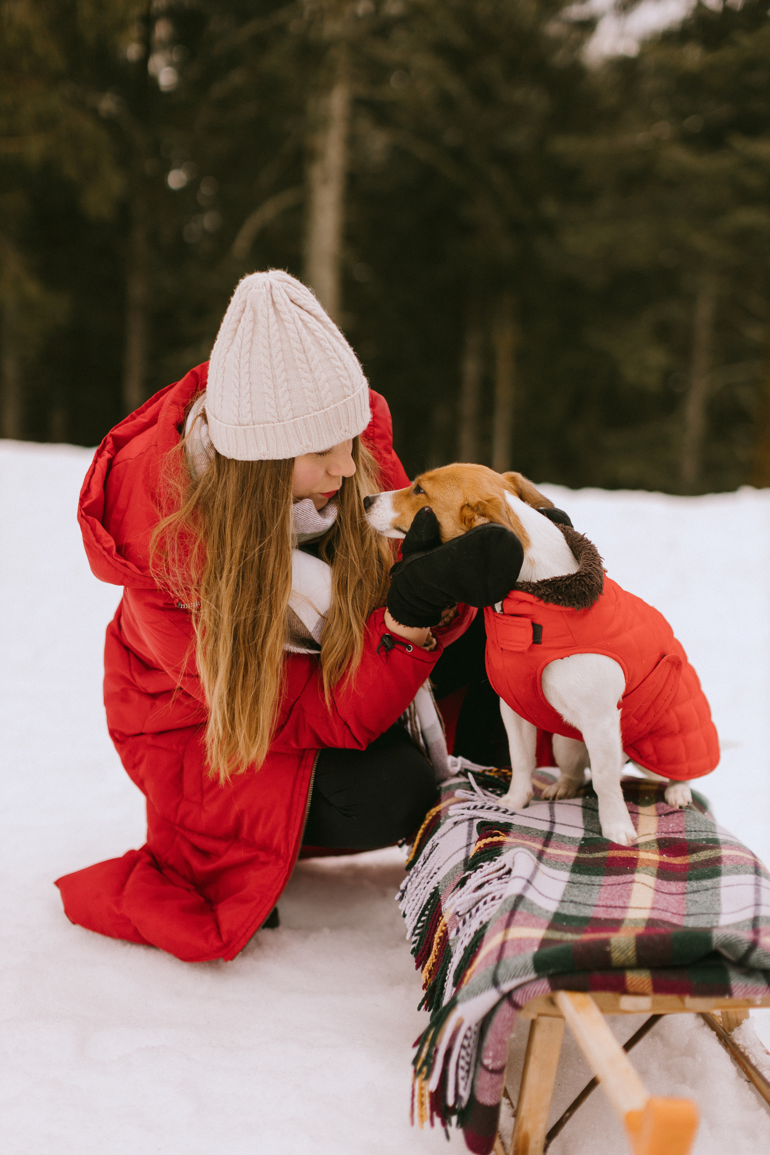 Семейная фотосессия в зимнем лесу. Maria Chistyakovа — Fotografin in Karlsruhe, Baden-Baden und Umgebung