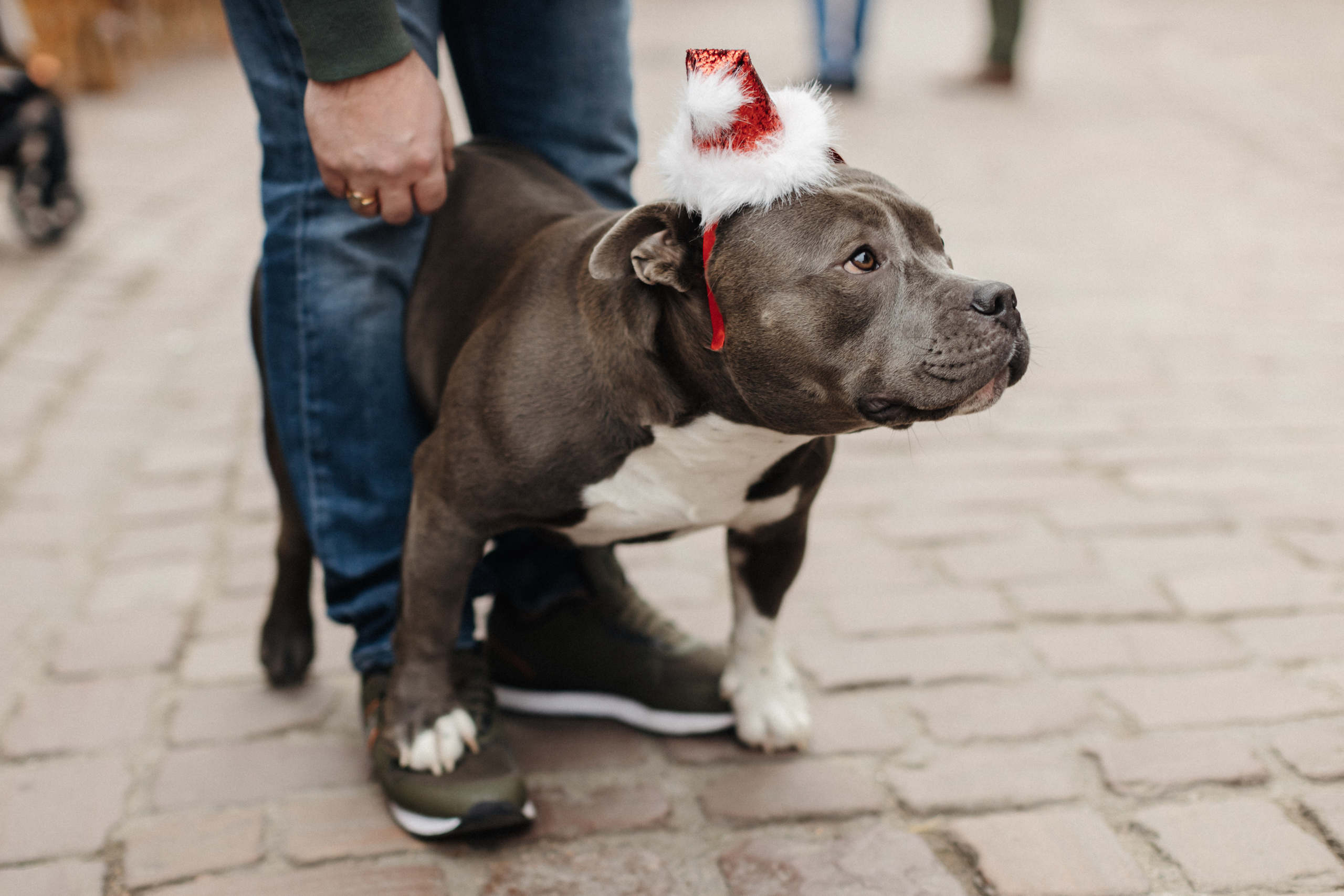 Фотосессия беременности в городе Кольмар. Фотограф в Германии — Мария Чистякова