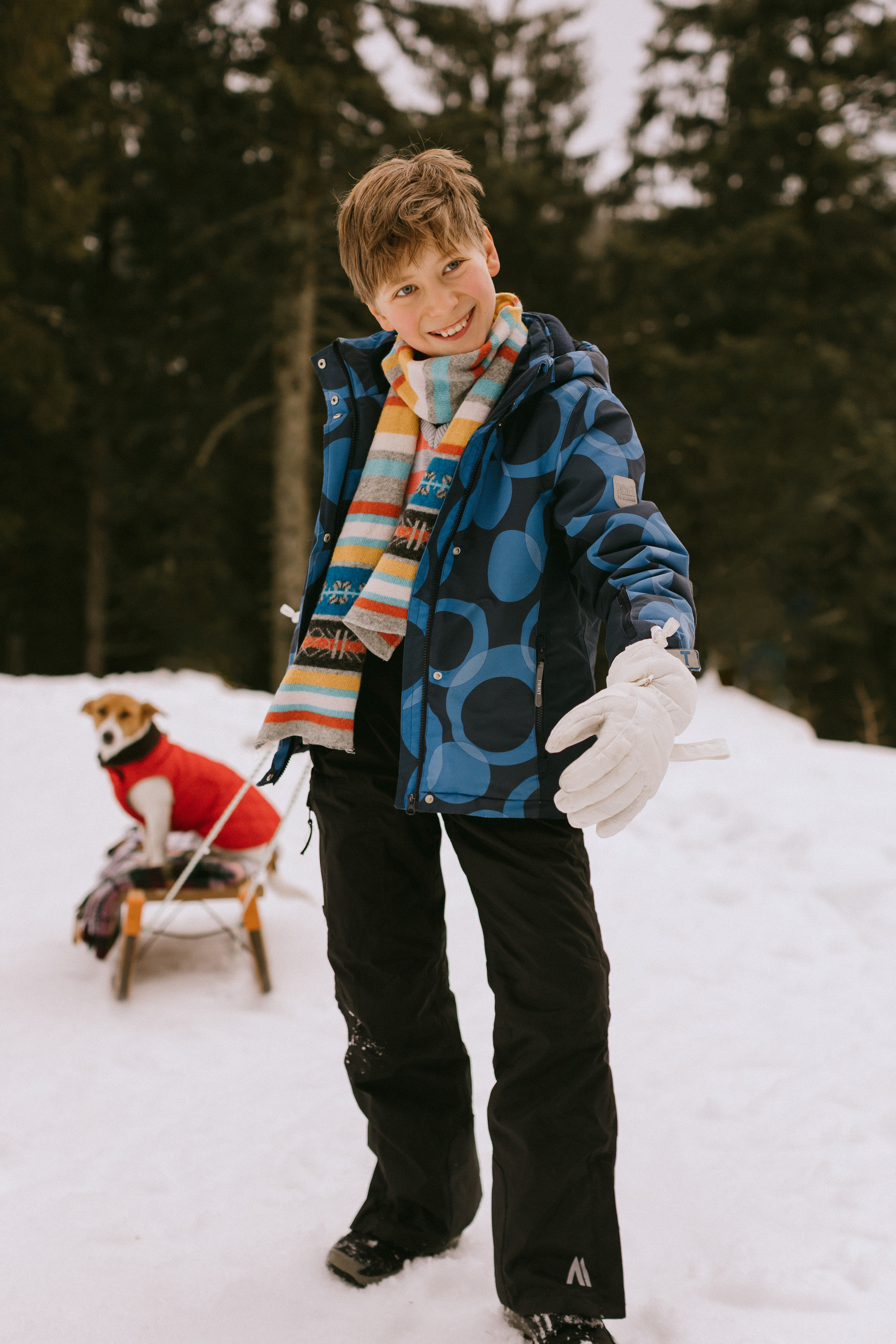 Семейная фотосессия в зимнем лесу. Maria Chistyakovа — Fotografin in Karlsruhe, Baden-Baden und Umgebung