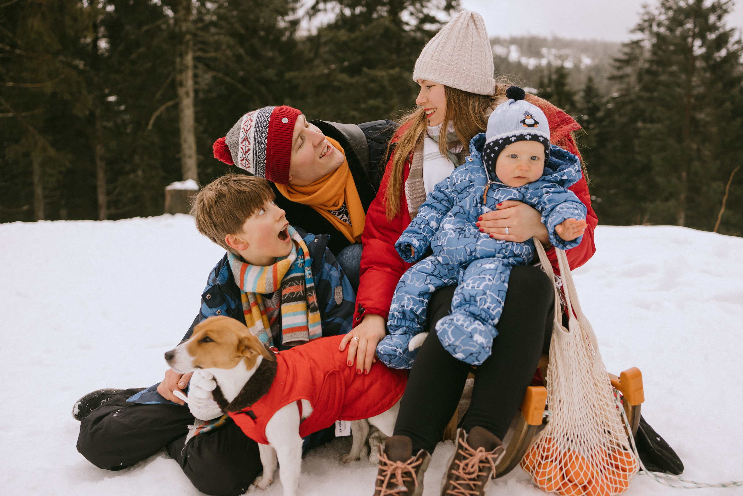 Семейная фотосессия в зимнем лесу. Maria Chistyakovа — Fotografin in Karlsruhe, Baden-Baden und Umgebung