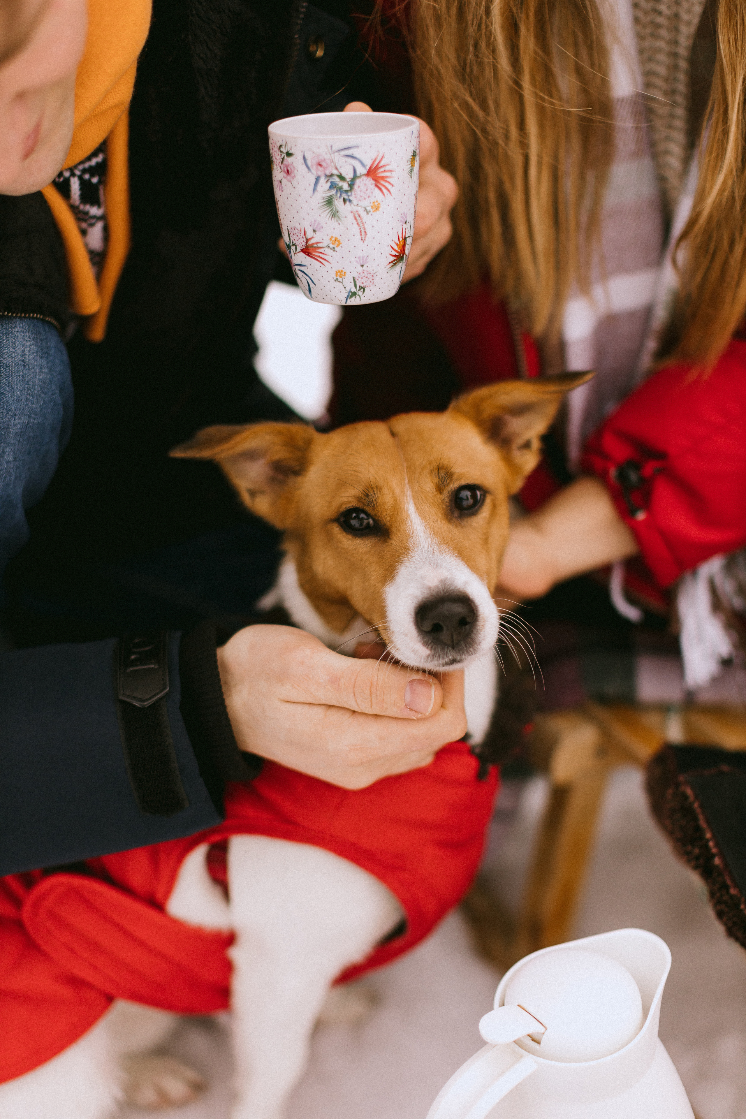 Семейная фотосессия в зимнем лесу. Maria Chistyakovа — Fotografin in Karlsruhe, Baden-Baden und Umgebung