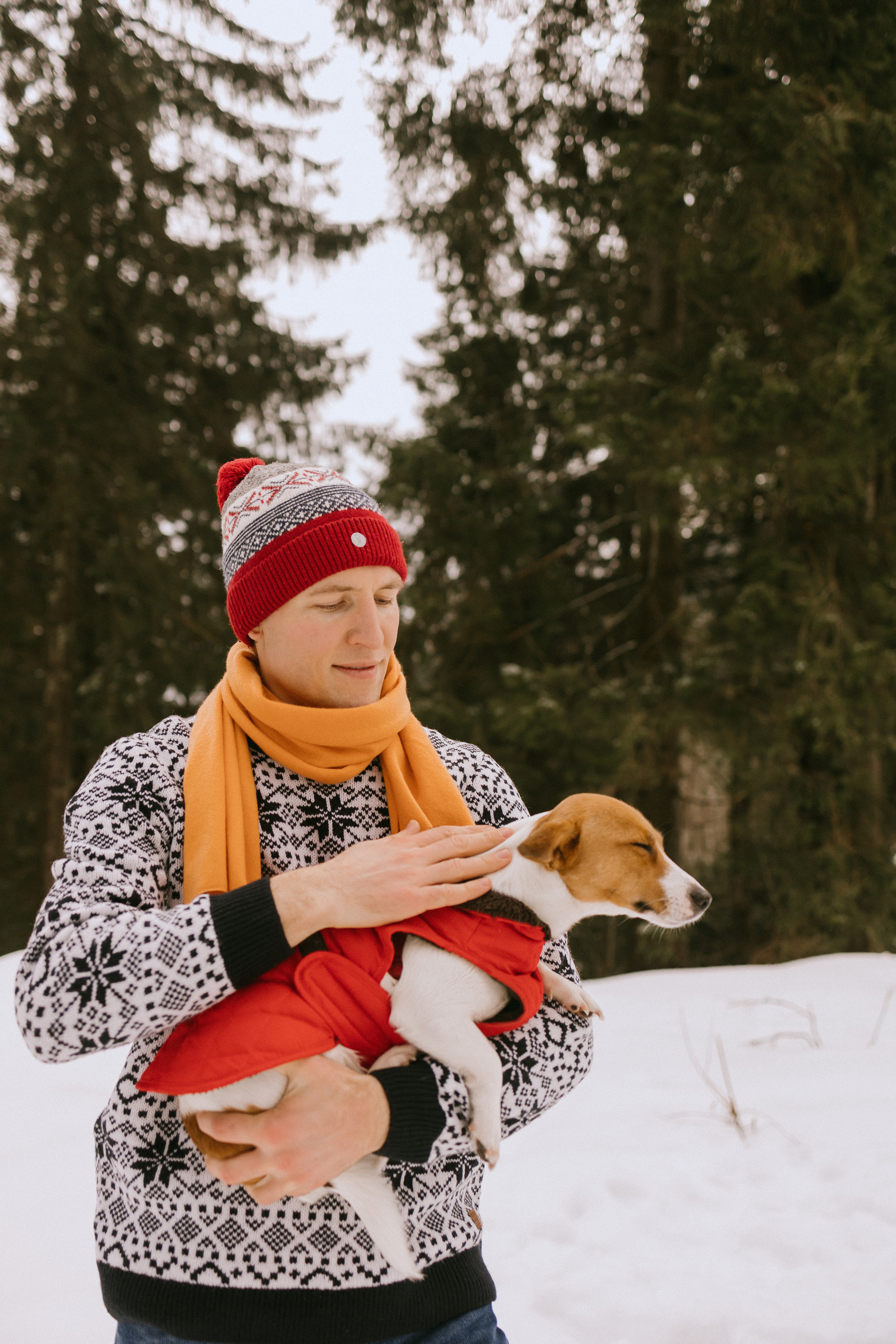 Семейная фотосессия в зимнем лесу. Maria Chistyakovа — Fotografin in Karlsruhe, Baden-Baden und Umgebung