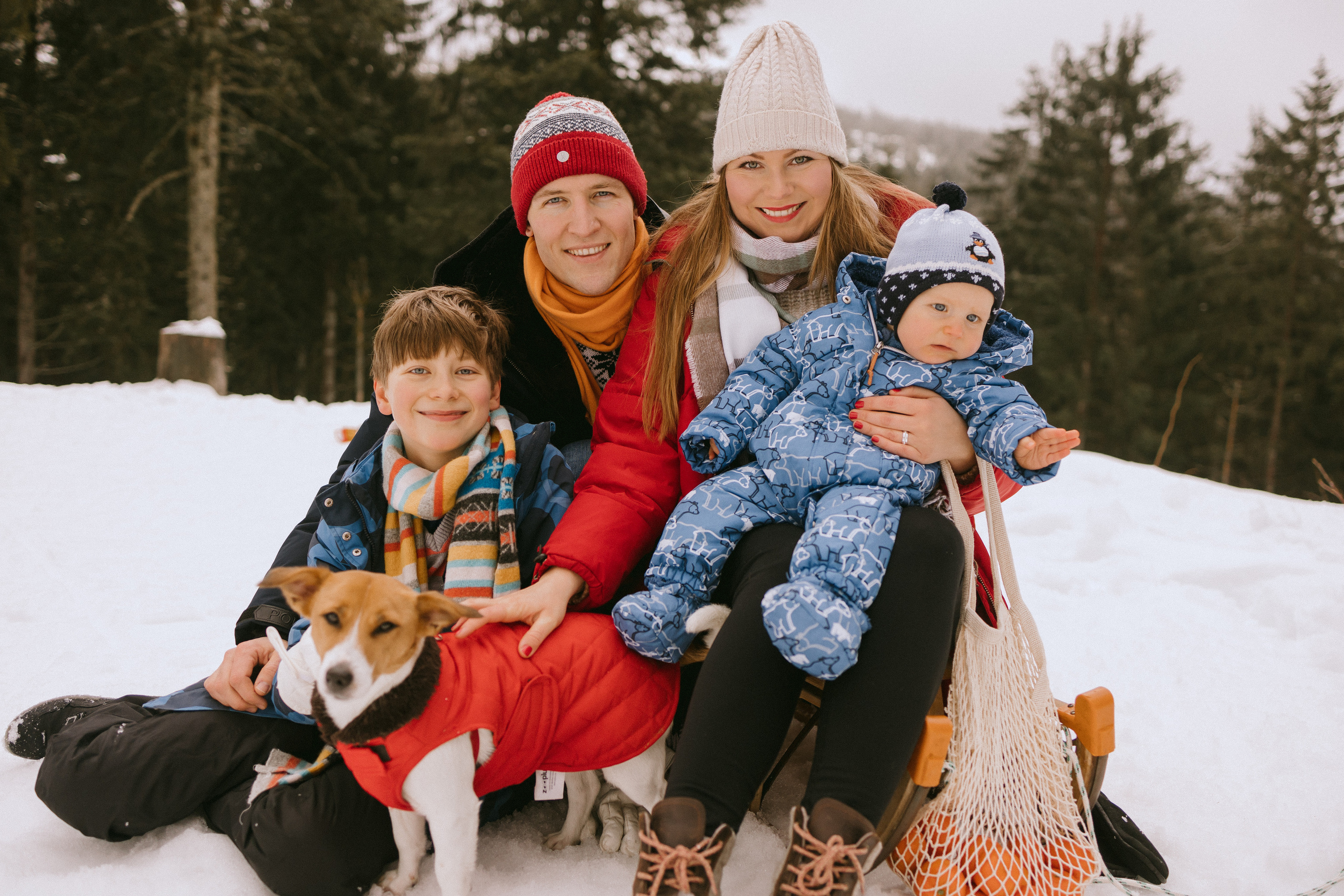 Семейная фотосессия в зимнем лесу. Maria Chistyakovа — Fotografin in Karlsruhe, Baden-Baden und Umgebung
