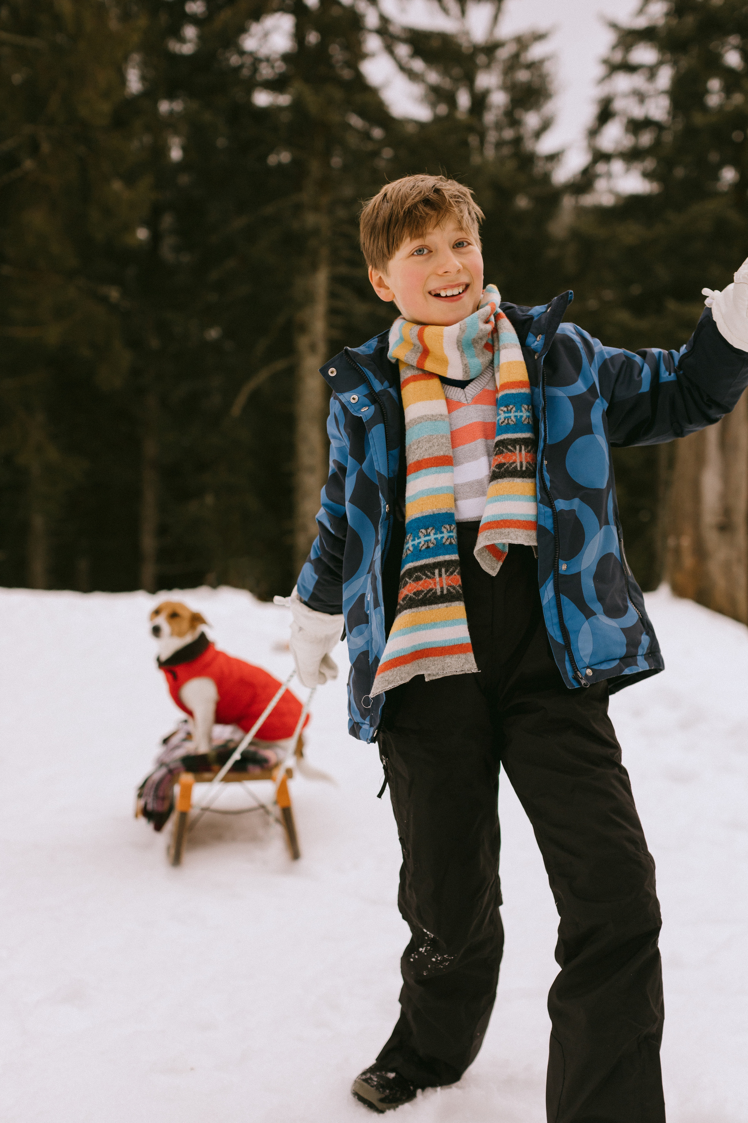 Семейная фотосессия в зимнем лесу. Maria Chistyakovа — Fotografin in Karlsruhe, Baden-Baden und Umgebung