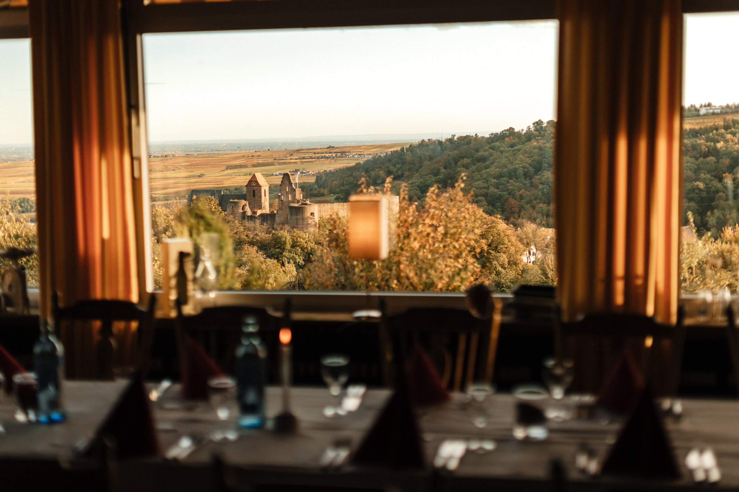 Свадебная фотосессия в виноградниках. Фотограф в Германии — Мария Чистякова