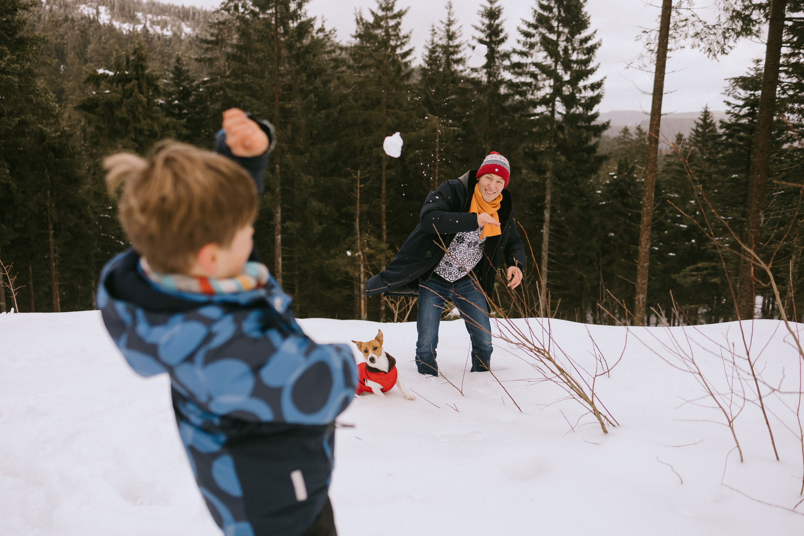 Семейная фотосессия в зимнем лесу. Maria Chistyakovа — Fotografin in Karlsruhe, Baden-Baden und Umgebung