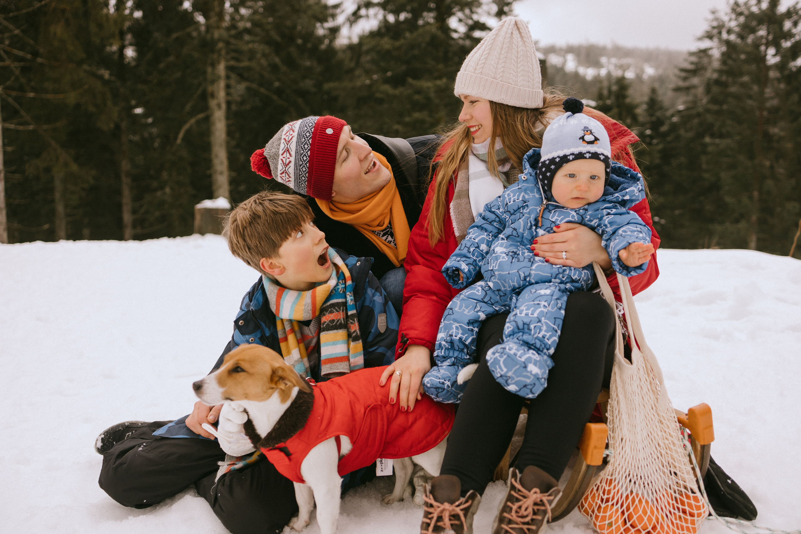 Семейная фотосессия в зимнем лесу. Maria Chistyakovа — Fotografin in Karlsruhe, Baden-Baden und Umgebung
