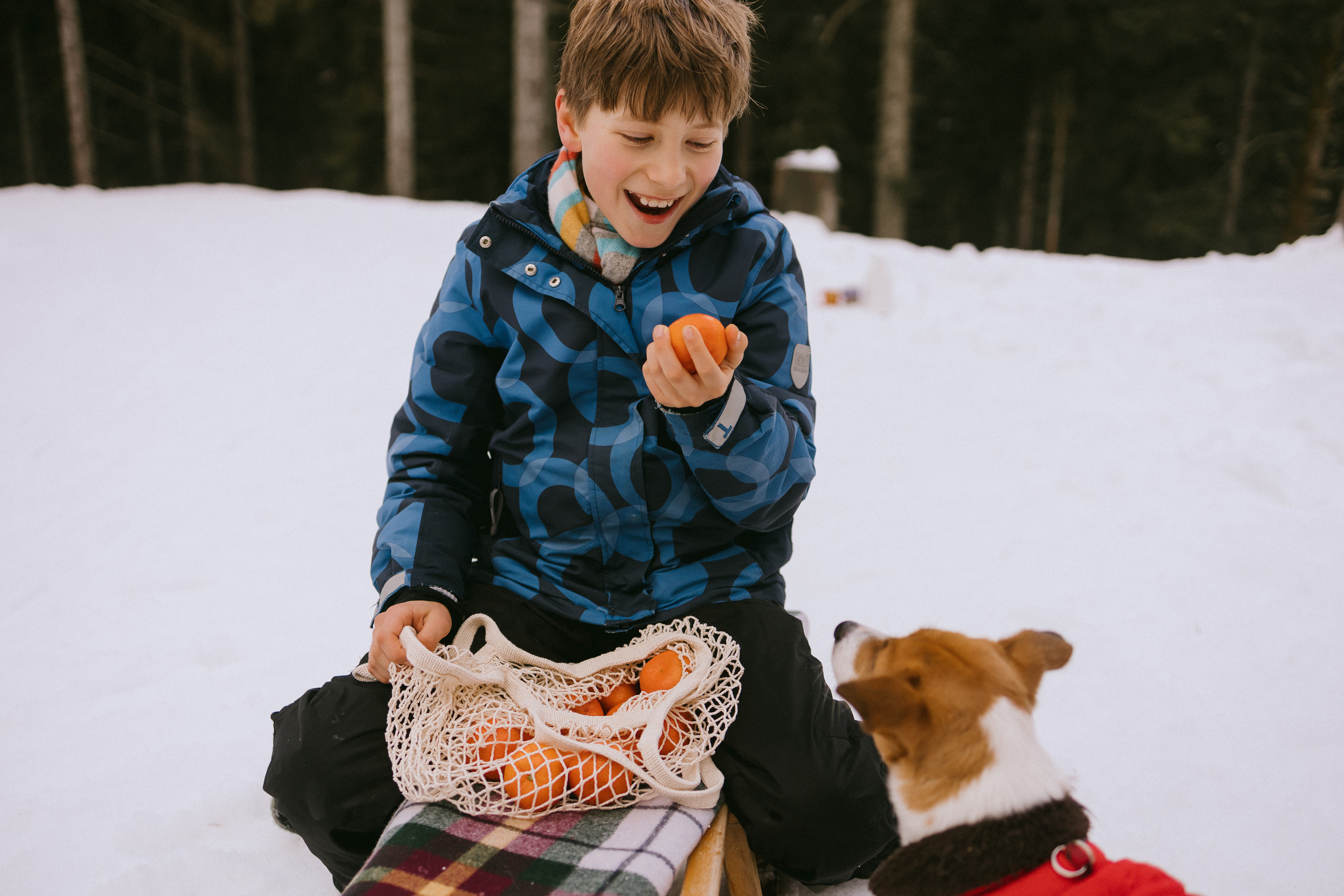 Семейная фотосессия в зимнем лесу. Maria Chistyakovа — Fotografin in Karlsruhe, Baden-Baden und Umgebung