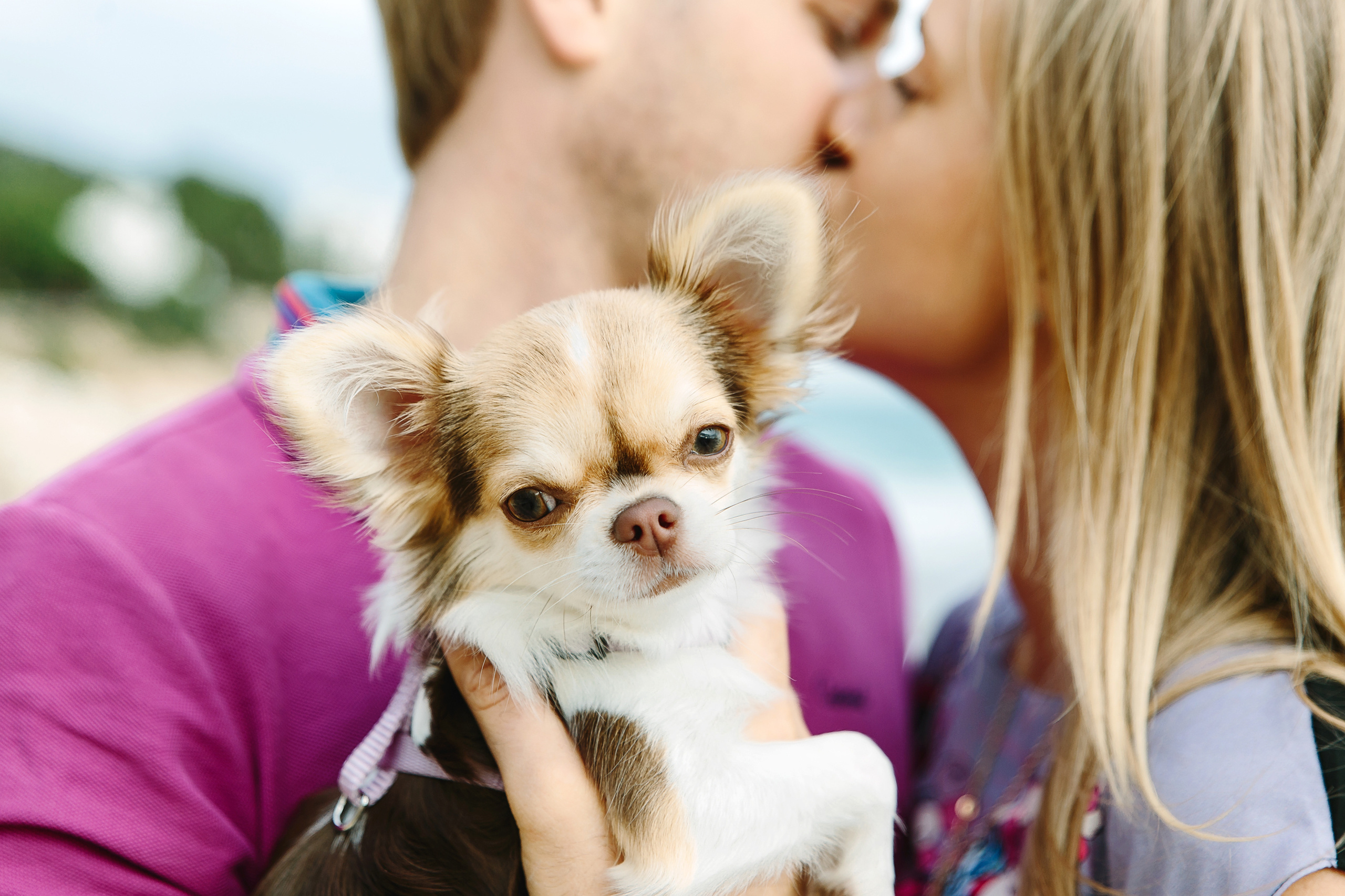 Dasha & Timur. Destination photographer in Barcelona, Spain, Europe, Worldwide - Andr