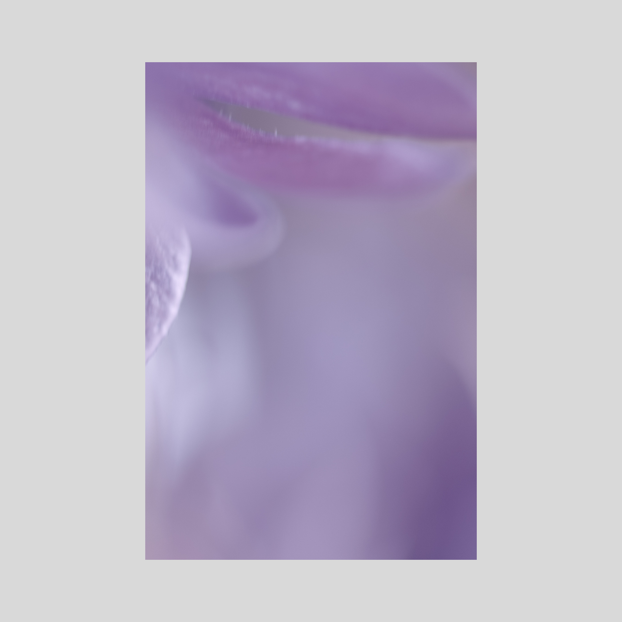 50 SHADES OF PURPLE. Natalja Poplavska — Visual artist, Photographer, East Sussex, London