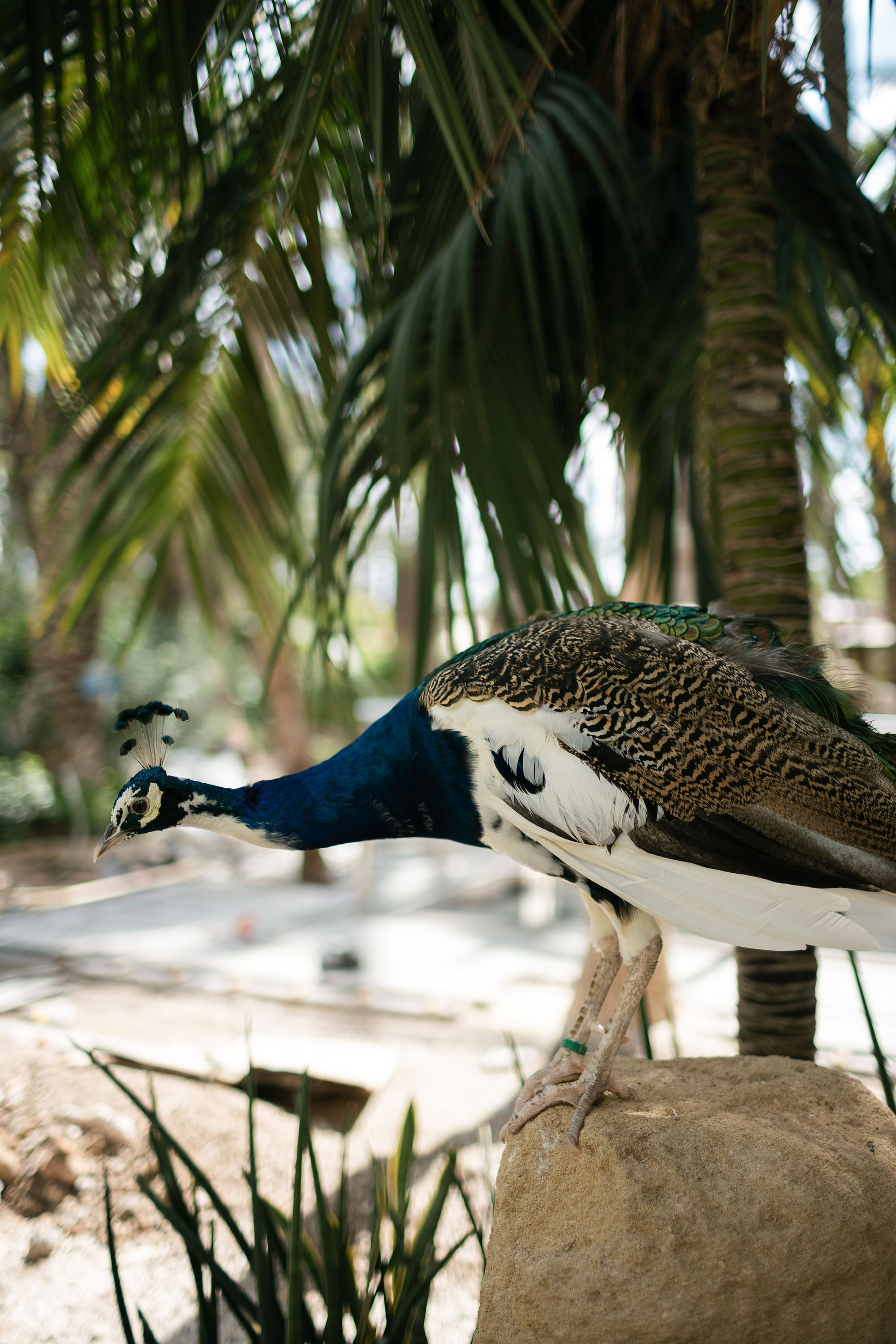 Eunji and Kjell. Destination Wedding Photographers based in Spain