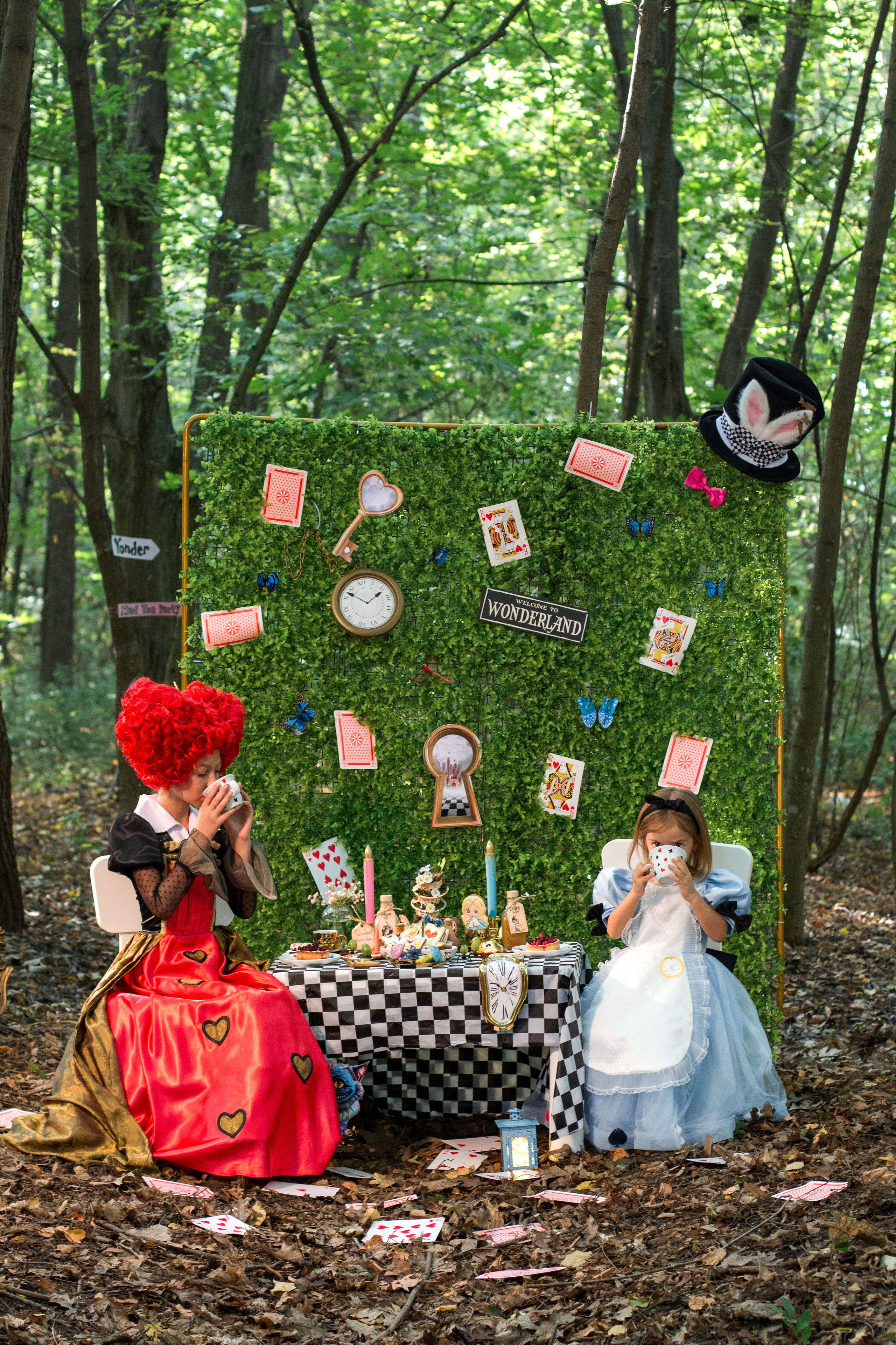 Алиса в стране чудес. Детский и семейный фотограф в г. Бельцы