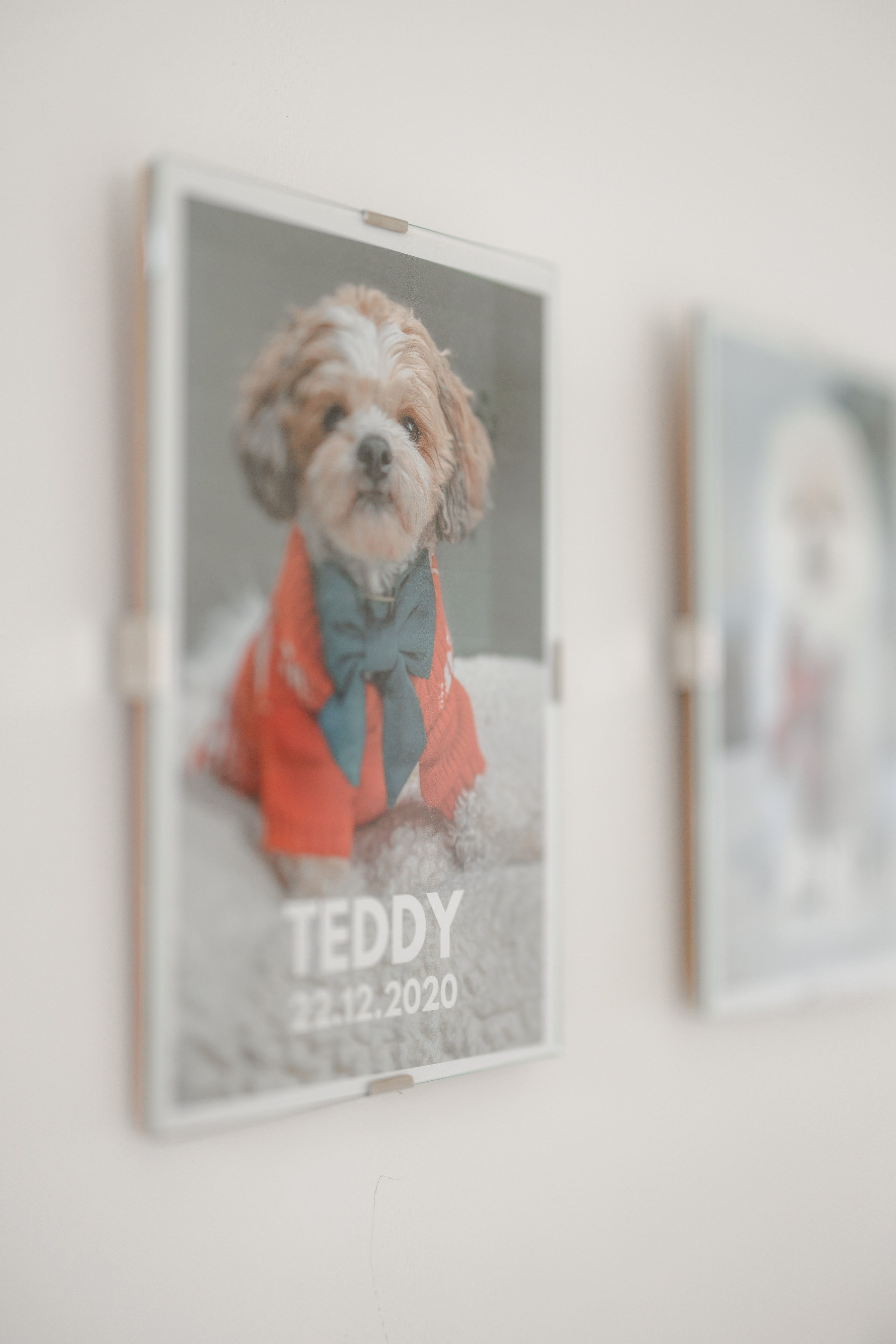 Bark & Bones. Familien- & Hochzeitsfotografin Schweiz. Valeria Diaz in Zürich und Umgebung