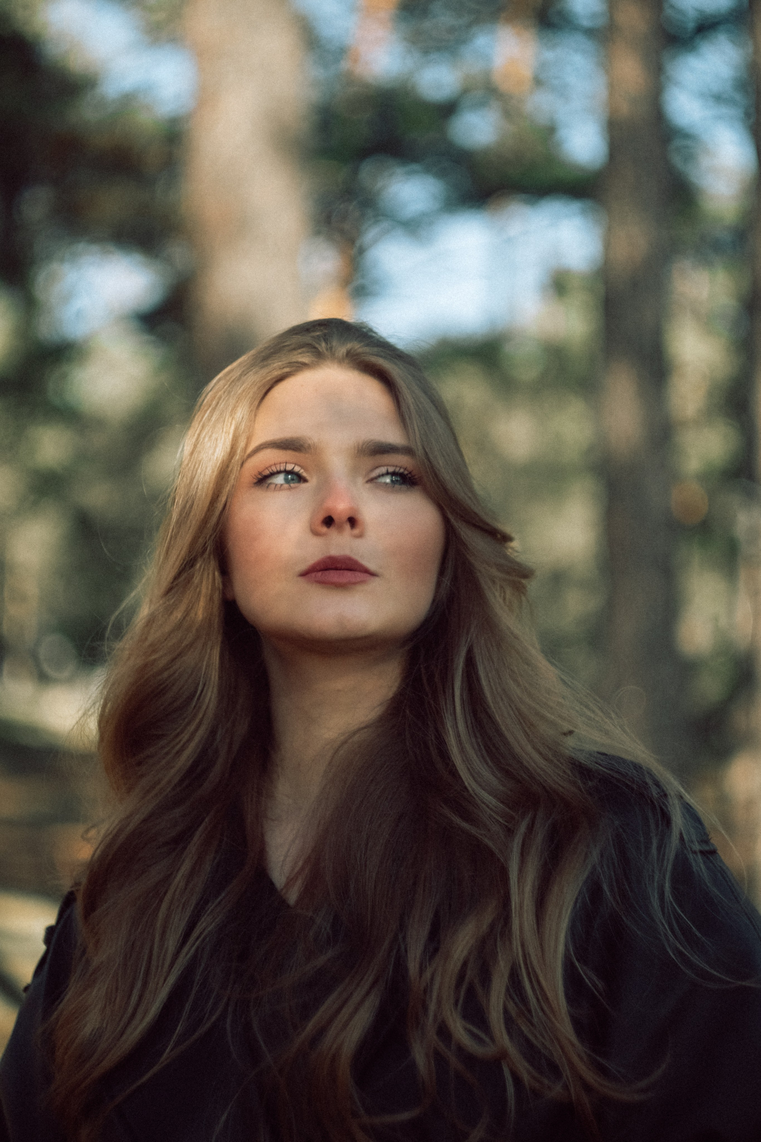 Nikita Pavlov, Photographer — Vienna, Austria