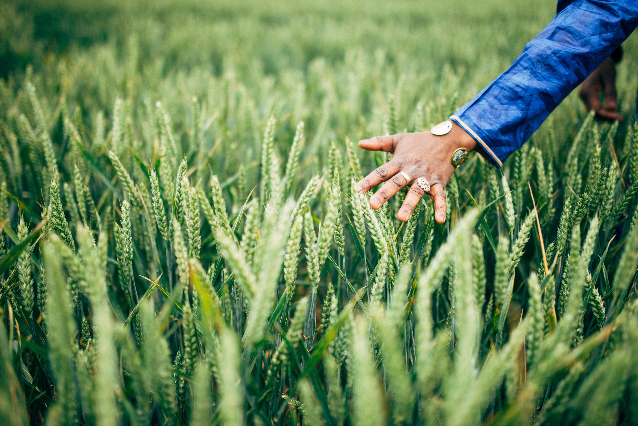 Sesiones individuales. Photographer in Bilbao Irina Makou