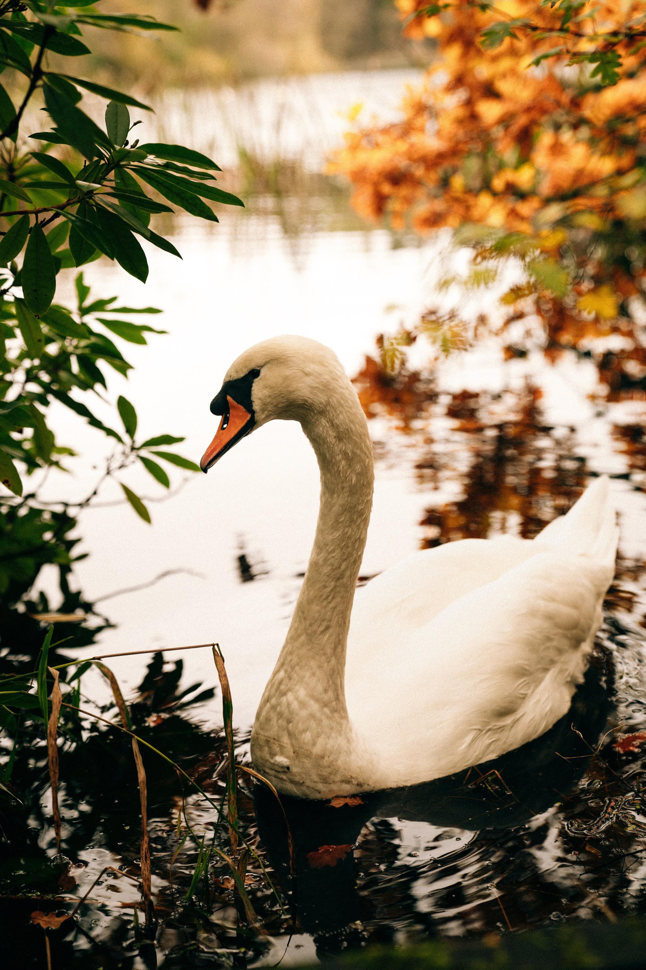 Bolam Lake family photography