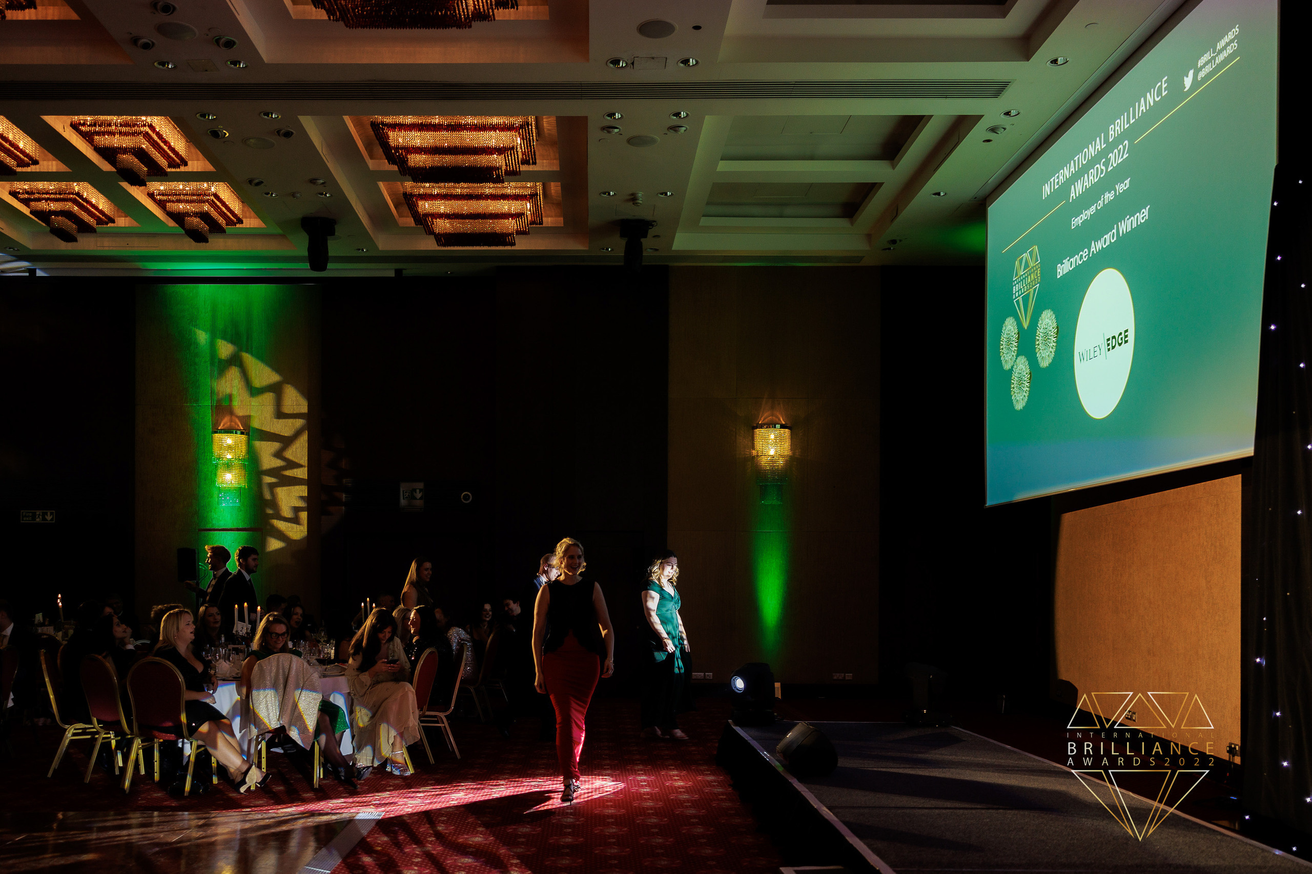 BLUE OCEAN BRILLANCE AWARD. Professional garden design and photography services in London