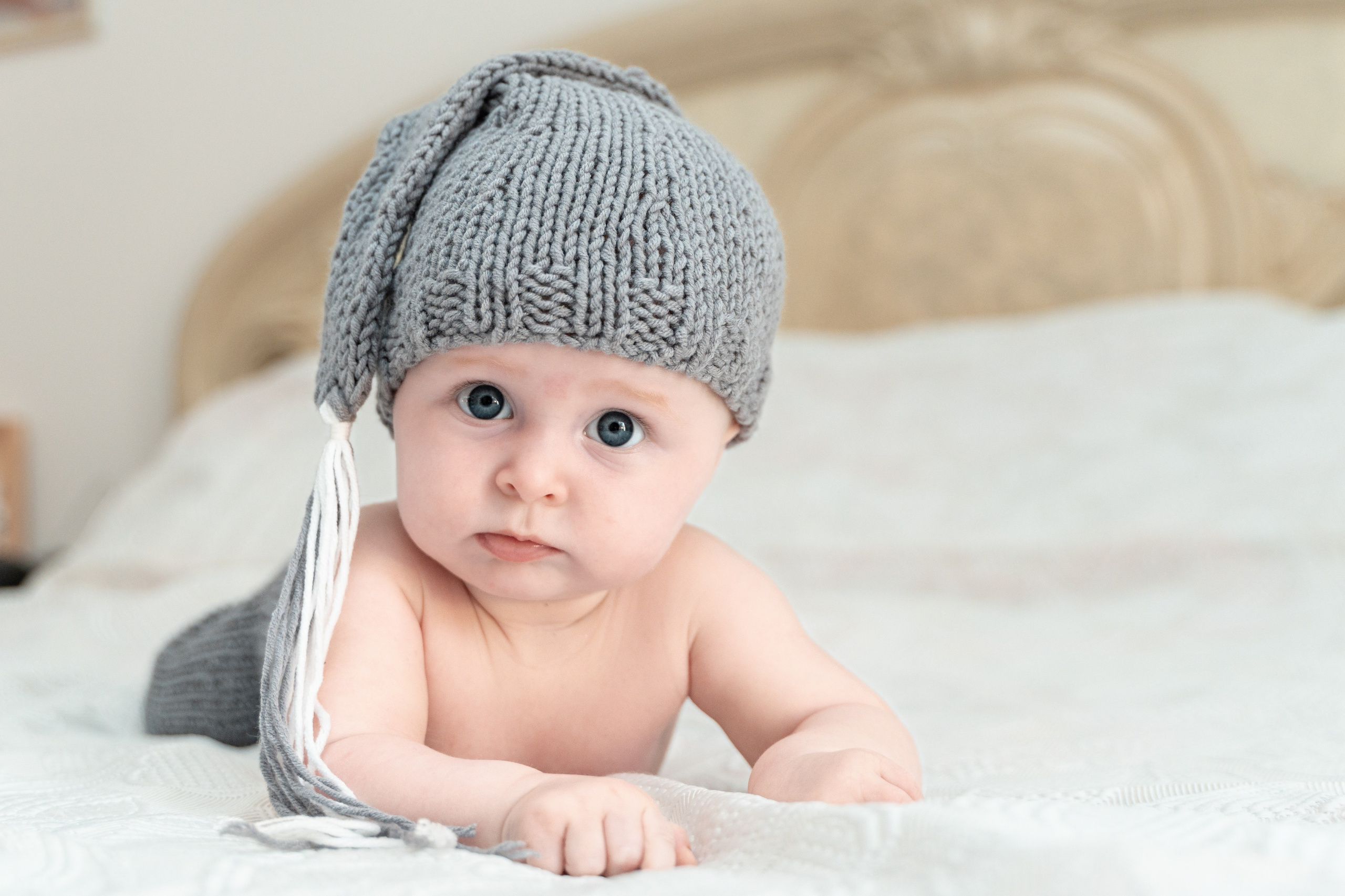 Fotograf Profesionist si Videomaker