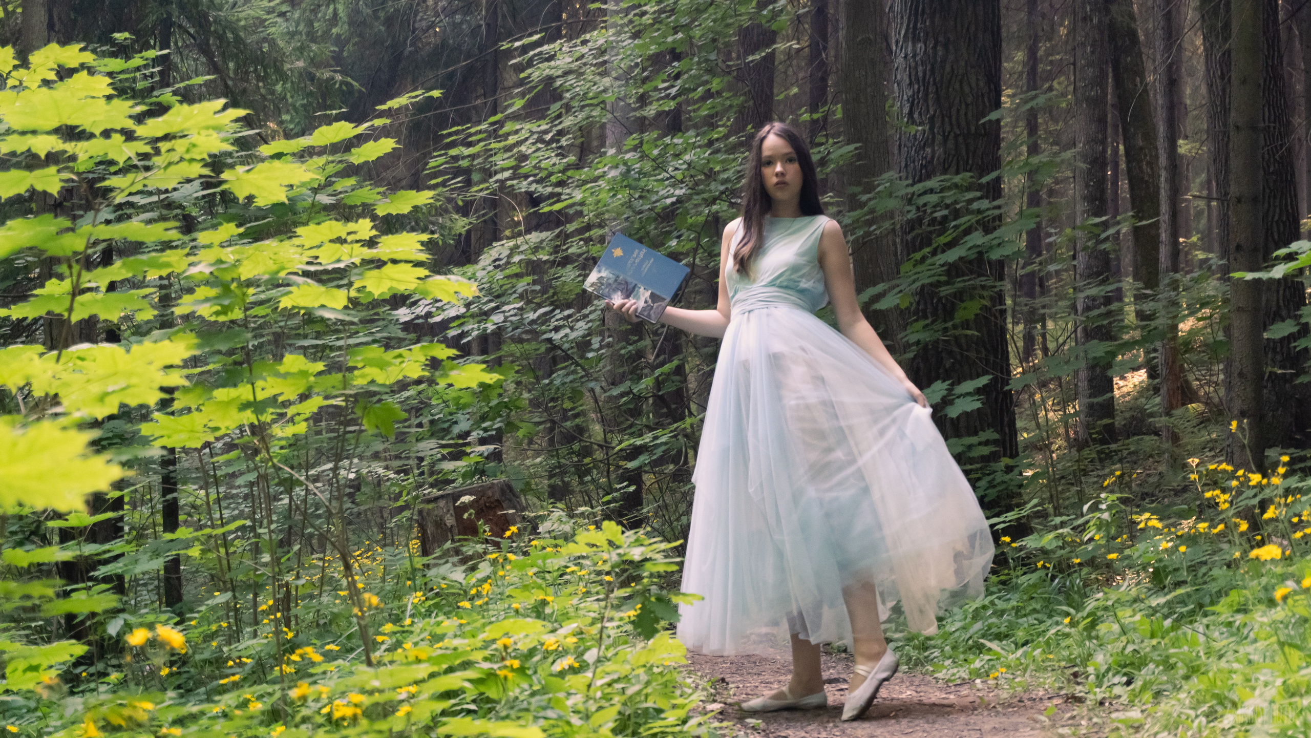 Alice In Wonderland. Main