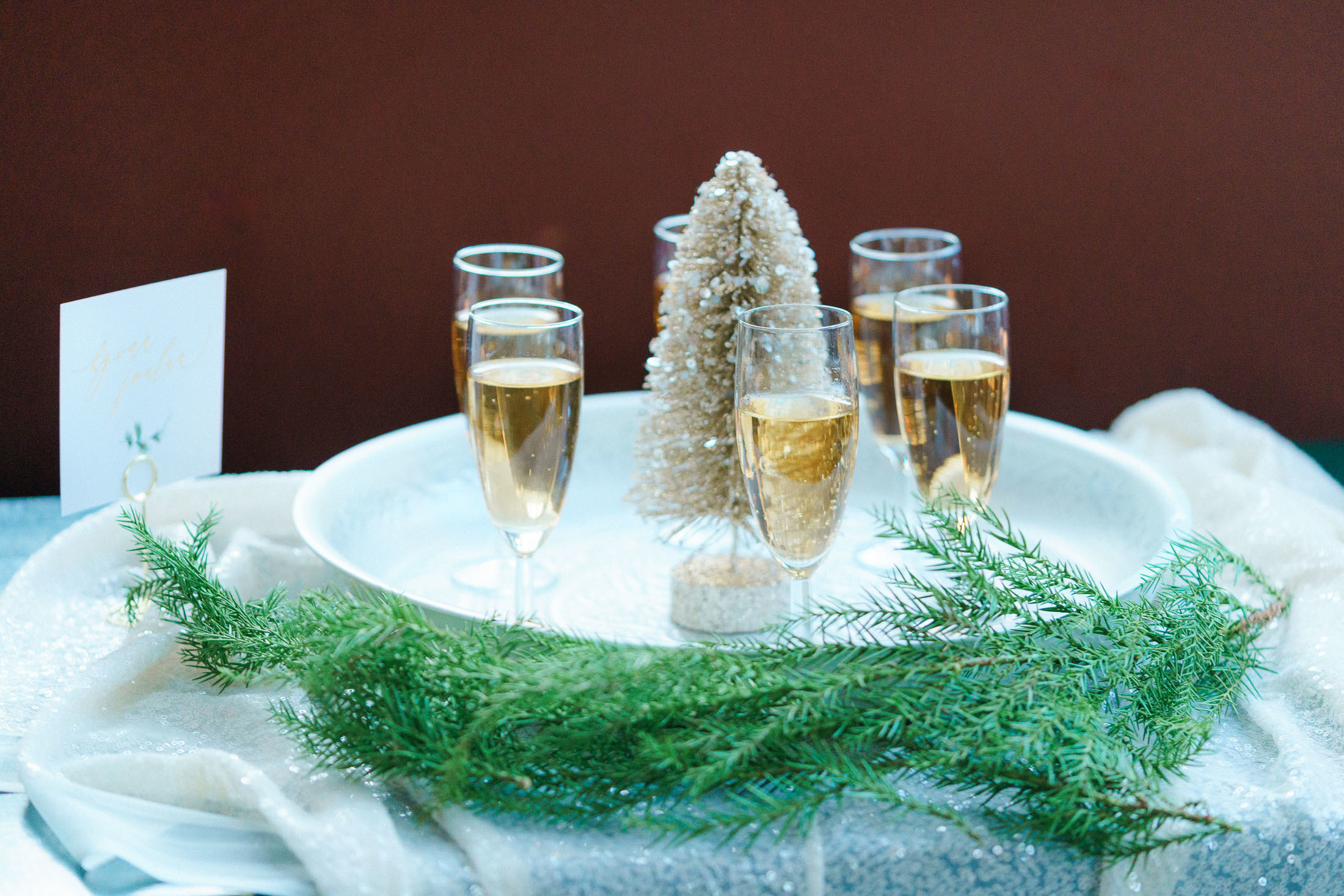 Styled New Year inspired session