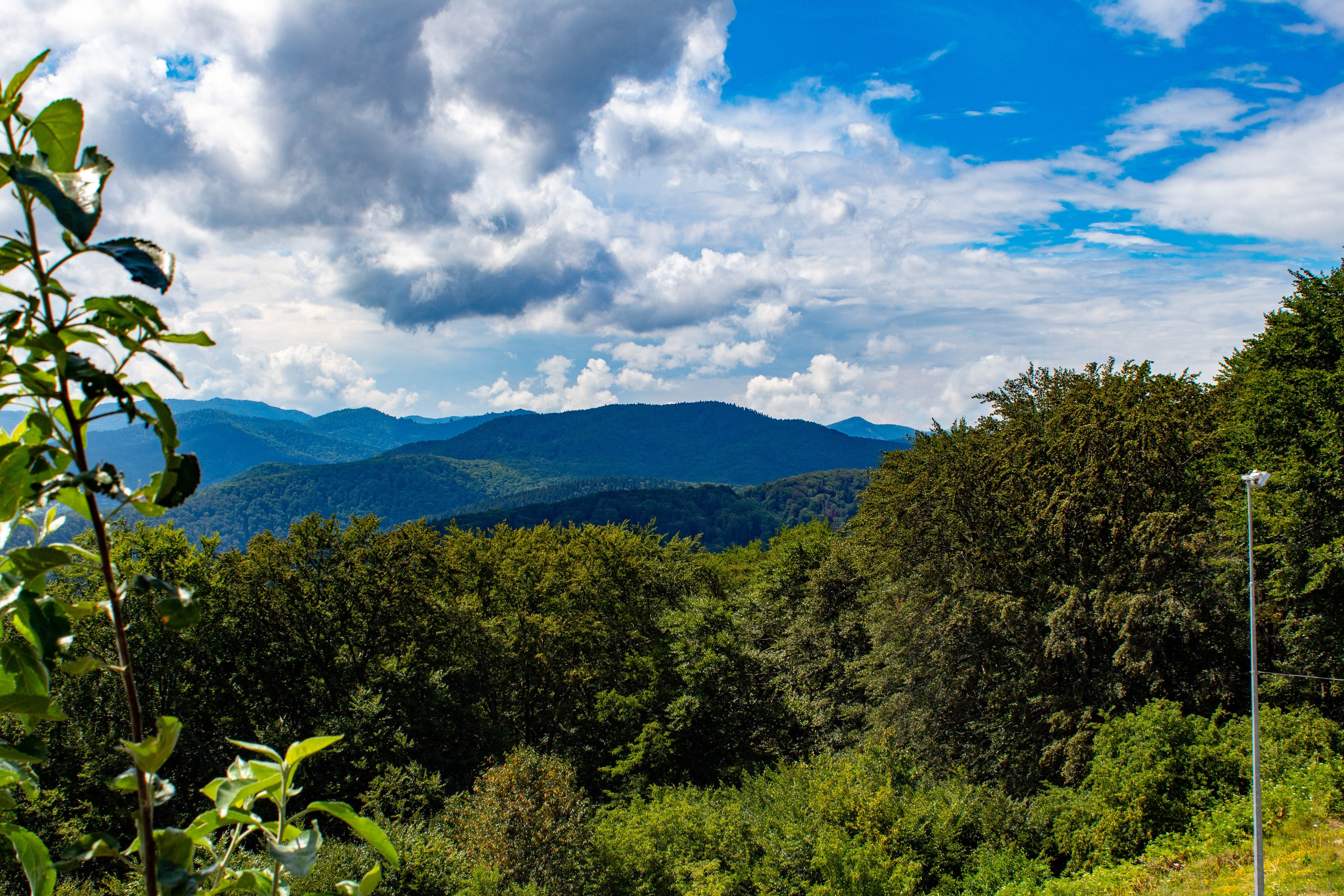 Green hillside landscape under a bright blue sky with scattered clouds.