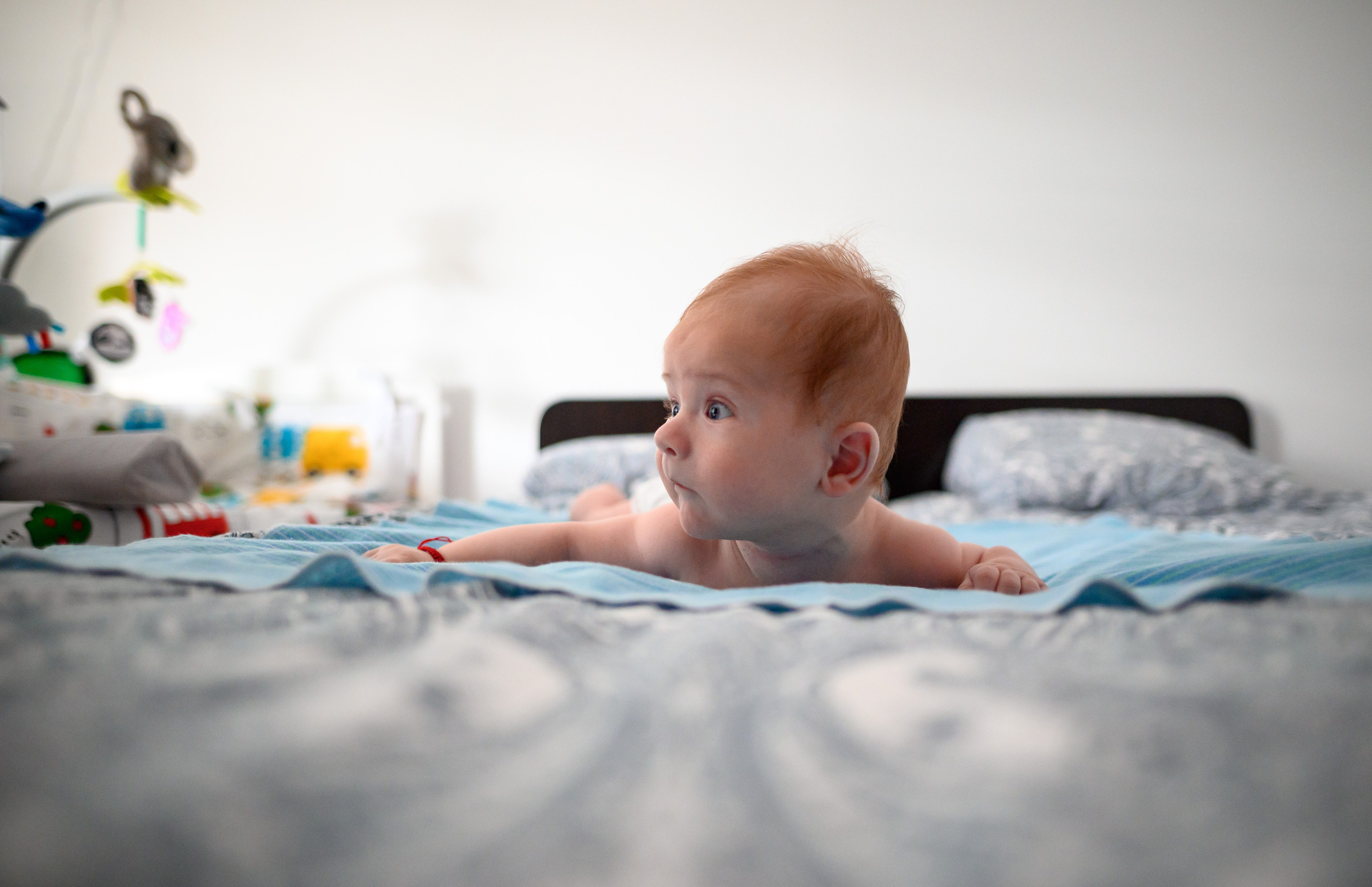 Botez. Fotograf evenimente Targoviste