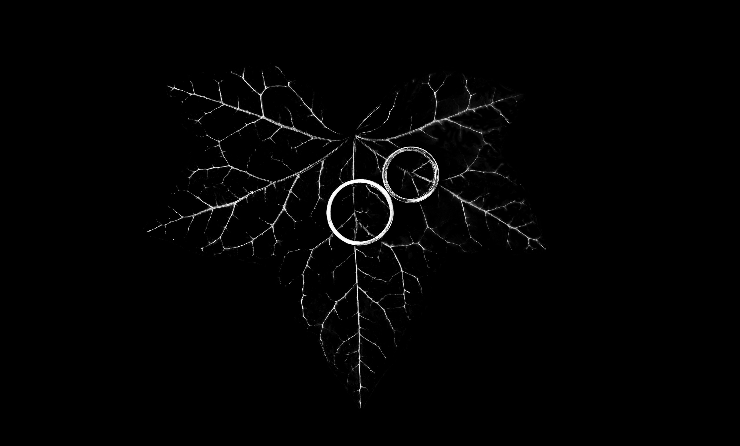 Portofoliu Fotograf Nunta Tulcea — Selectii | Codux. Codux — Fotograf Tulcea | Fotograf Evenimente