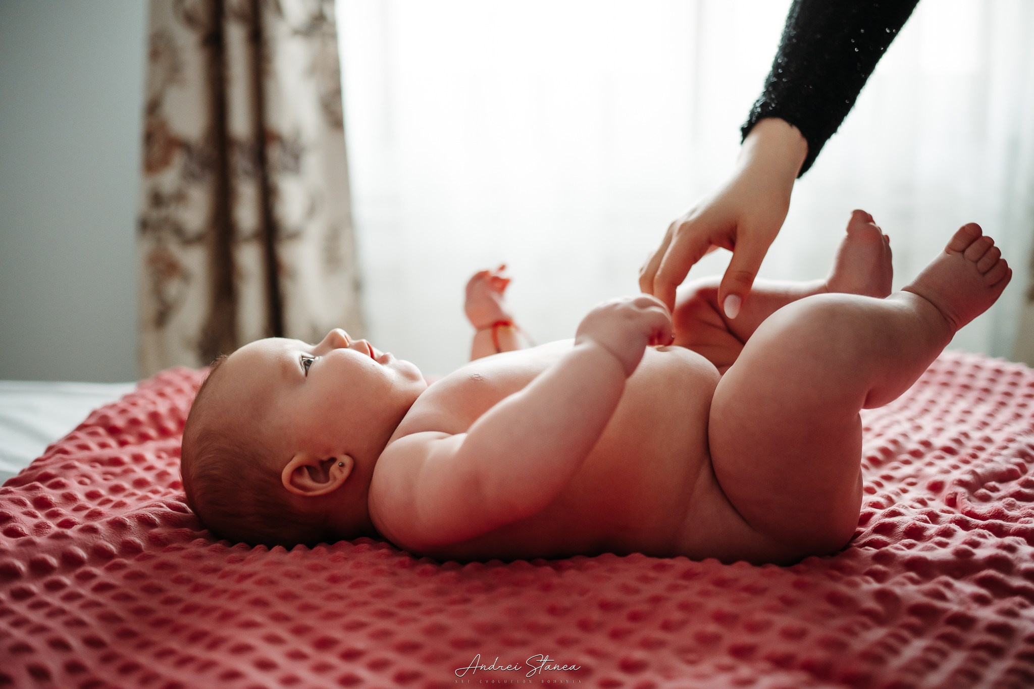 Zenayda. Andrei Stanea