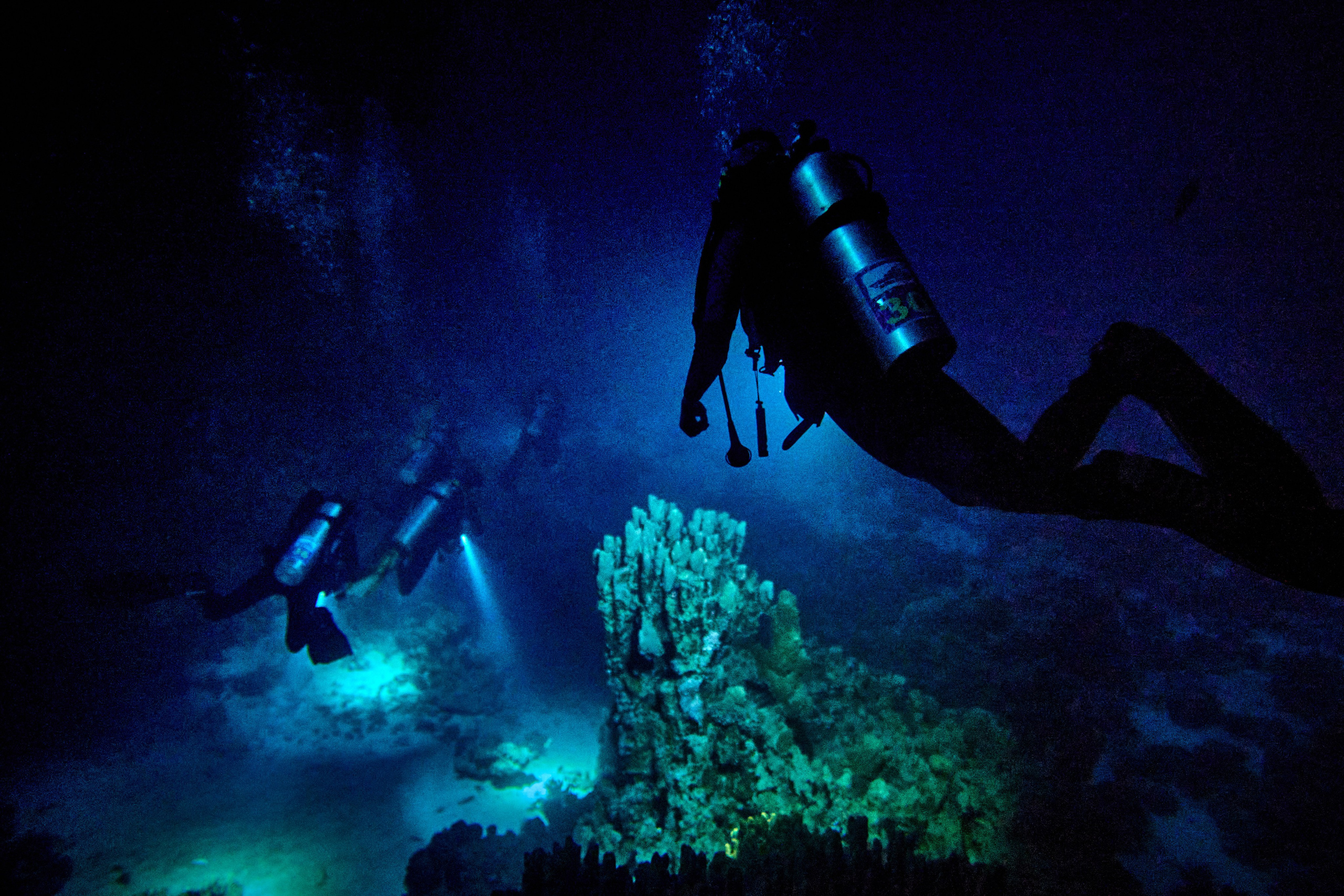 2023-11 - Diving Safari Deep South Egypt. Андрей Шипилов — Фотография & Видеография