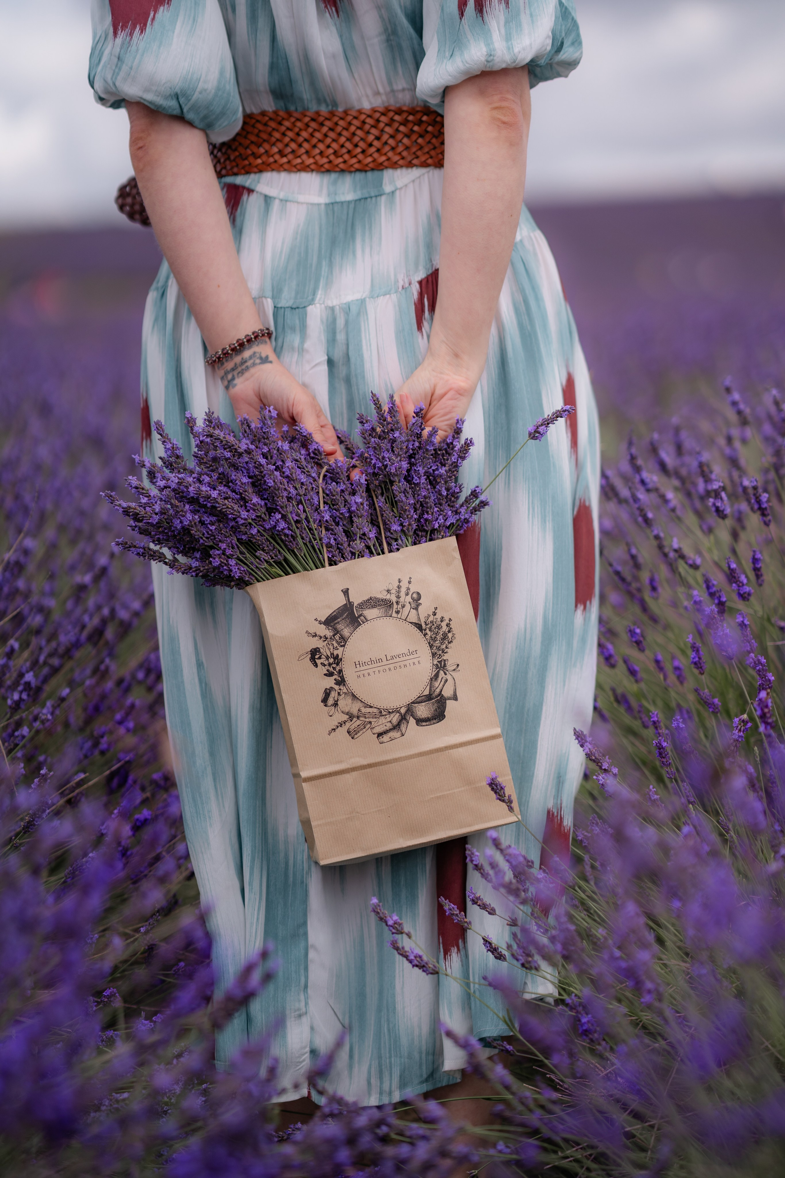Lavender. Tonya Kyrylenko photographer in London