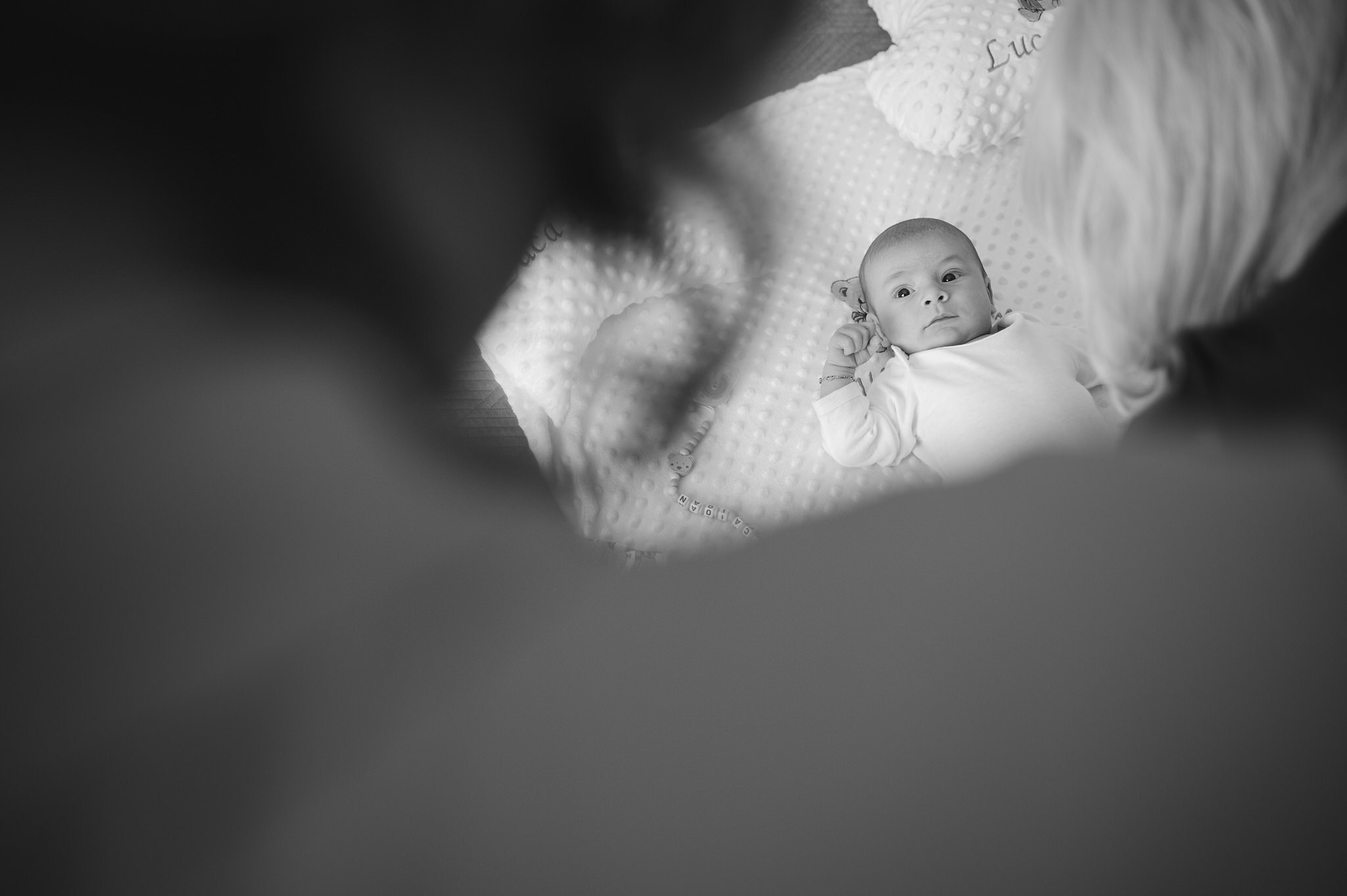 Luca Ioan. Georgescu Alexandru Fotograf