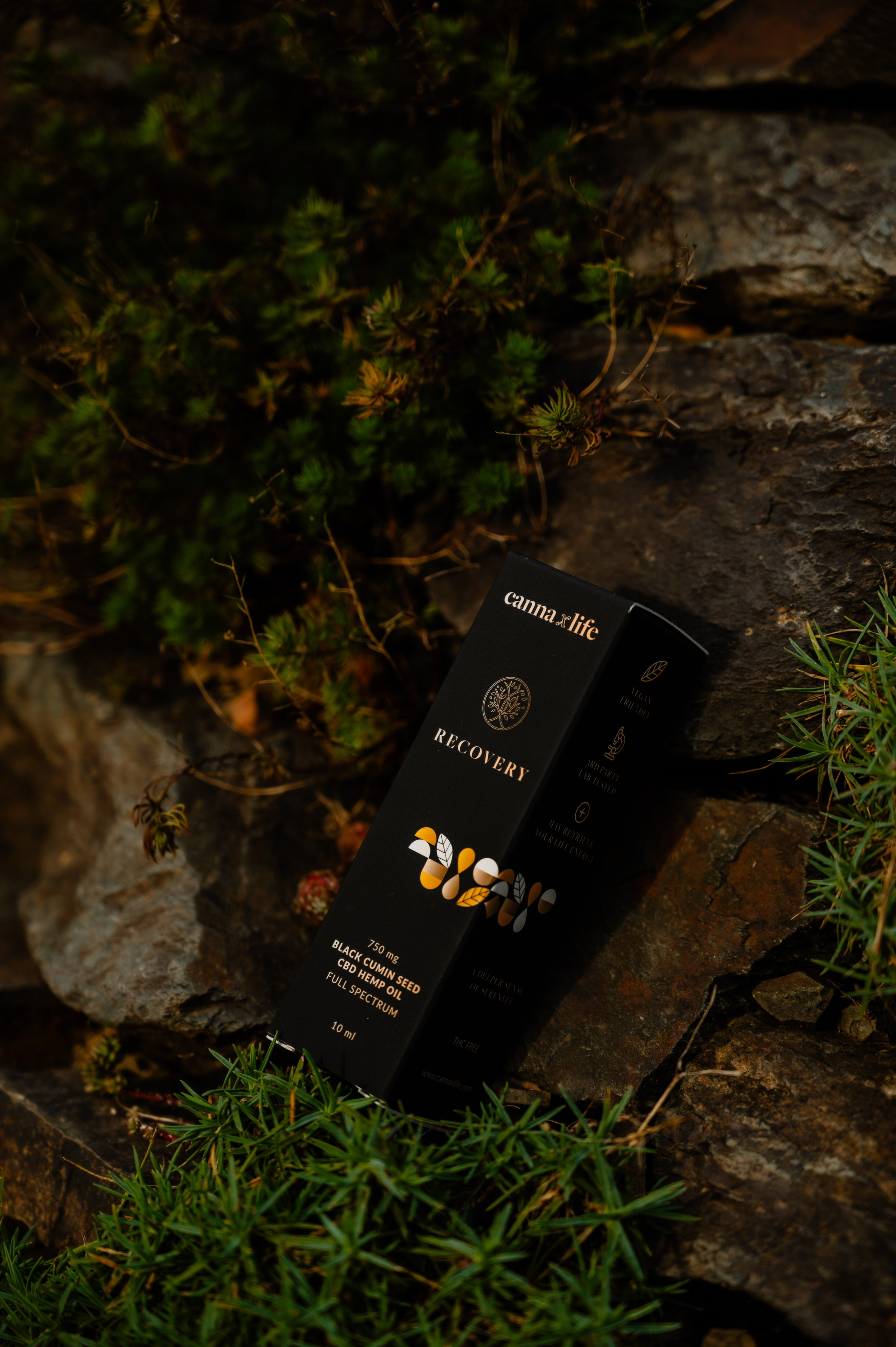 CannaXlife CBD products. ANNA-MARIA PHOTO CONTENT CREATOR — фотограф, естет, художник і візуальний експерт Instagram у Празі