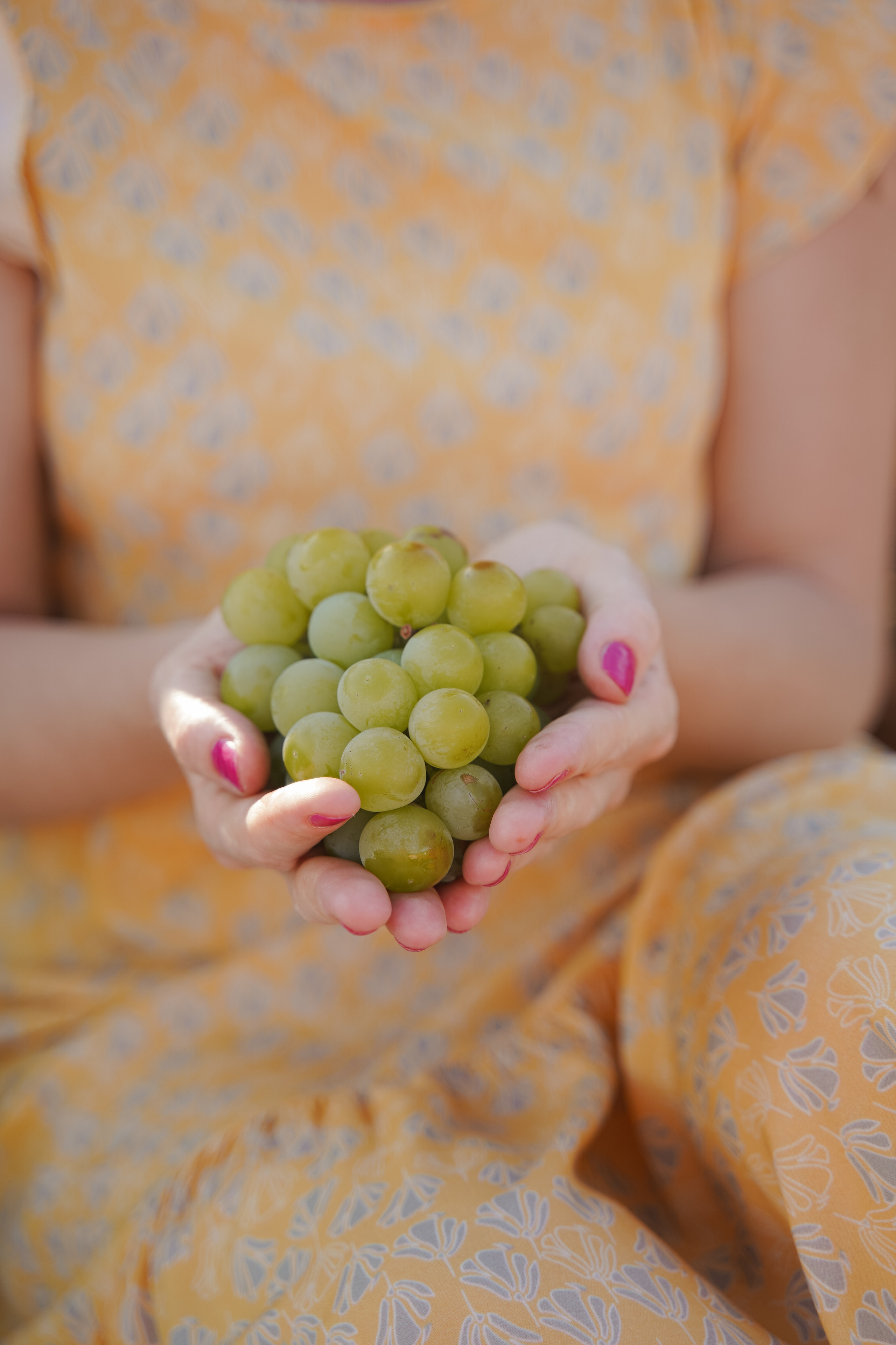Sesiones individuales en viñedos. Fotografo familiar, bodas, reportaje Diana Memetova Alicante, Benidorm