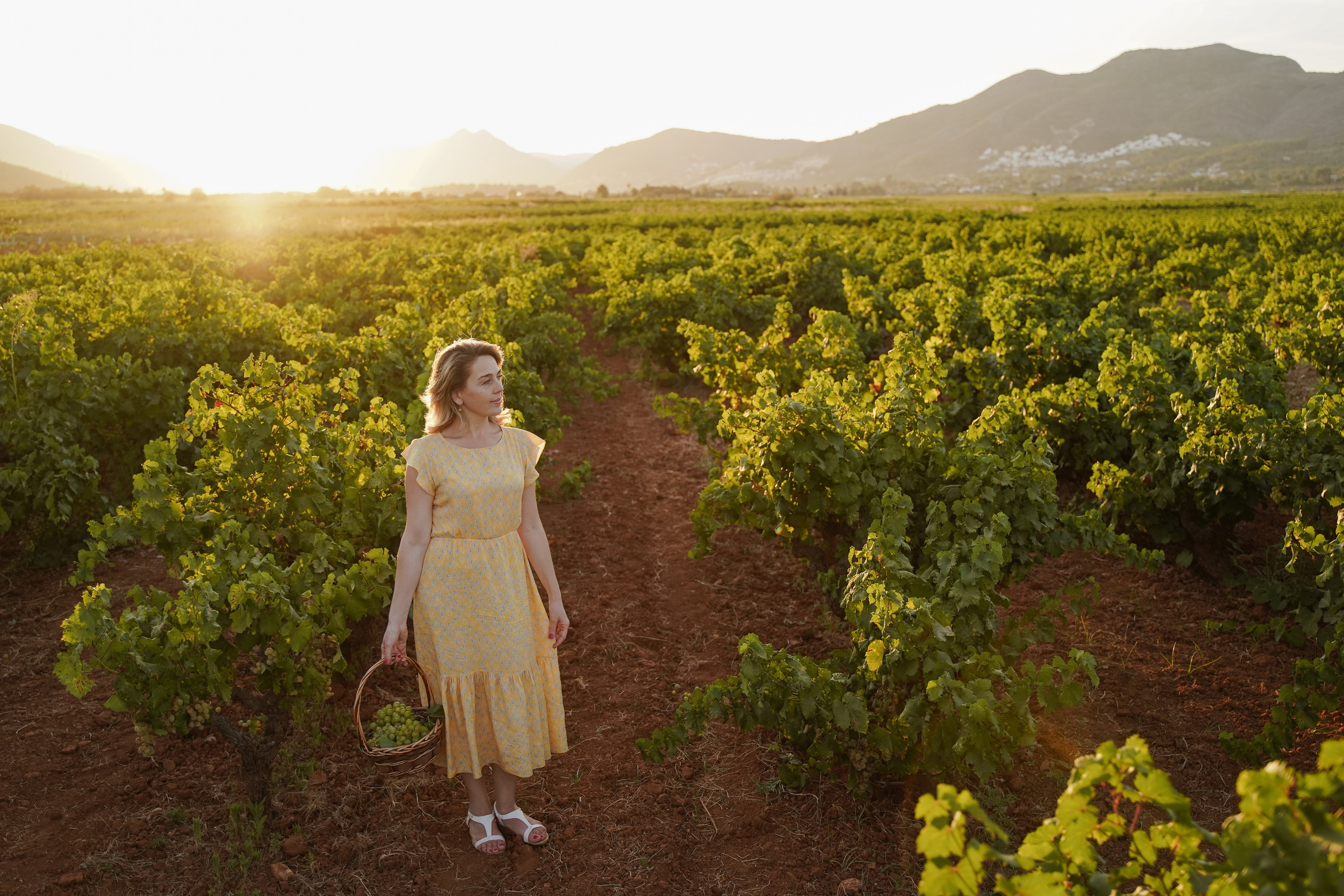 Sesiones individuales en viñedos. Fotografo familiar, bodas, reportaje Diana Memetova Alicante, Benidorm