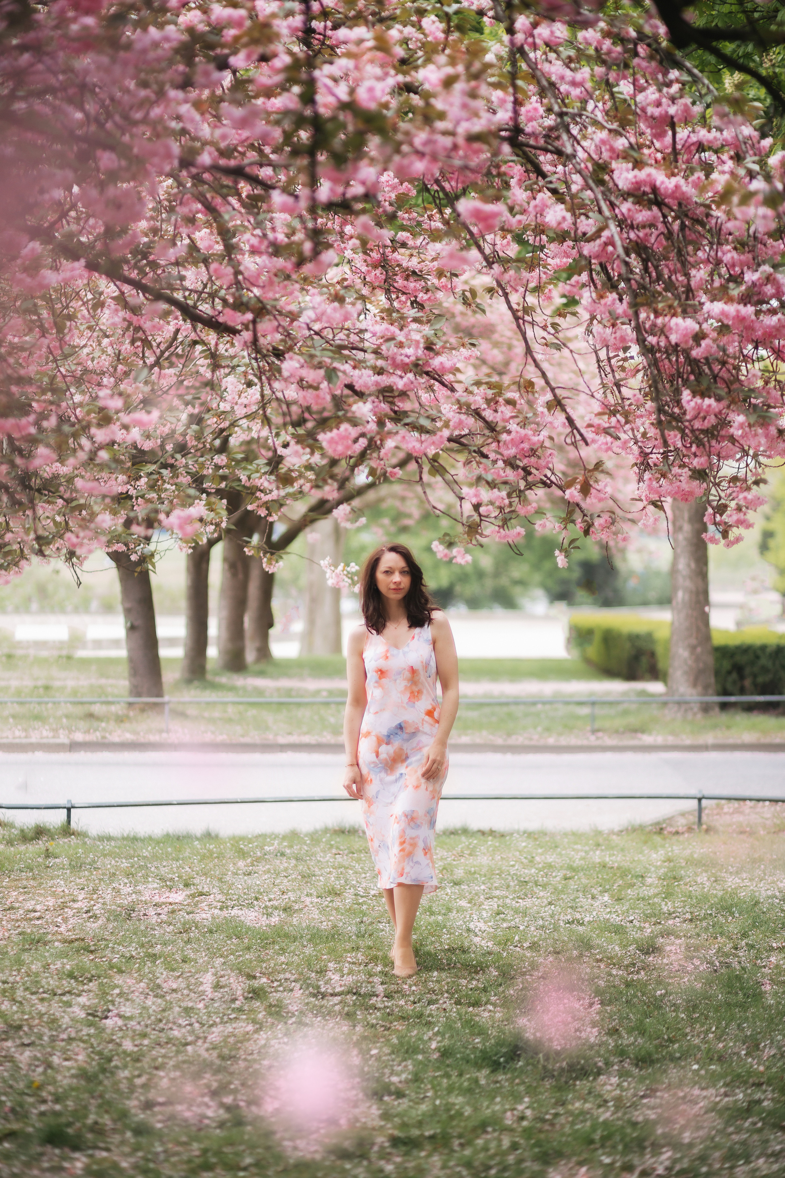 Цветение Настя. Fotografin Hamburg Reinbek Elizaveta Romanova