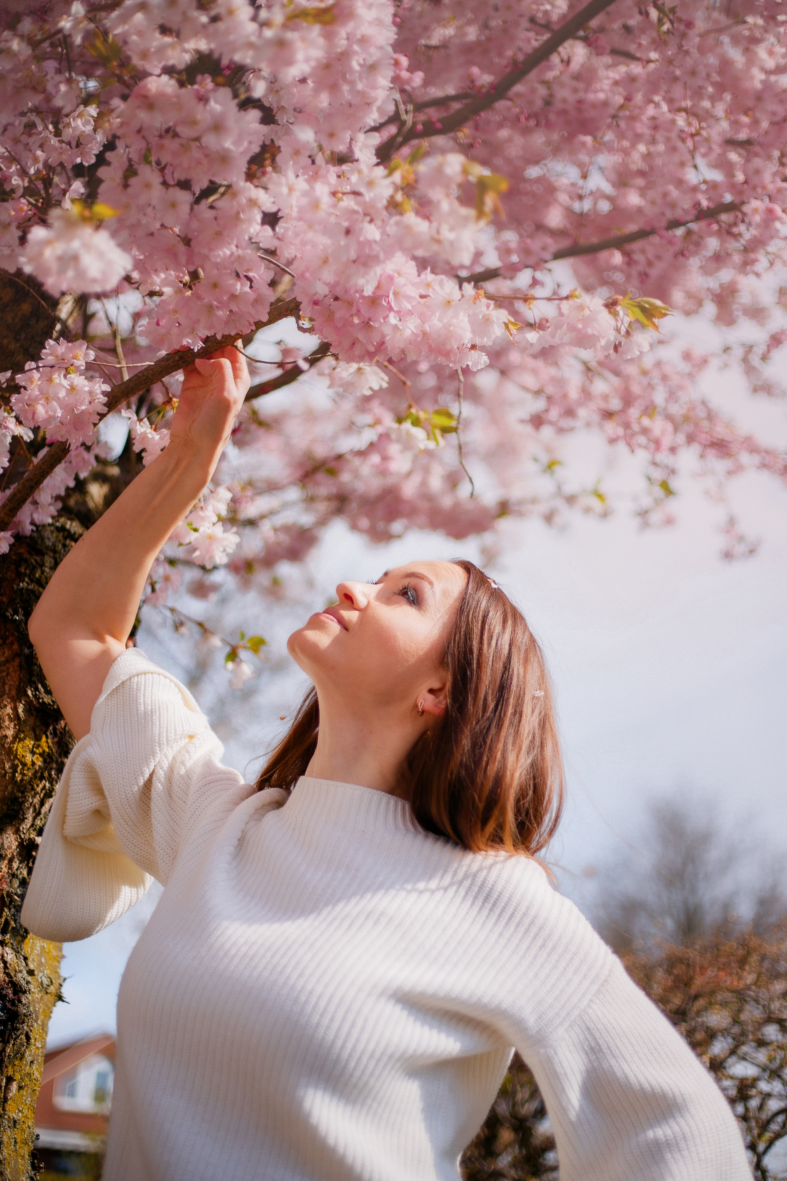 Цветение Ирочка. Fotografin Hamburg Reinbek Elizaveta Romanova