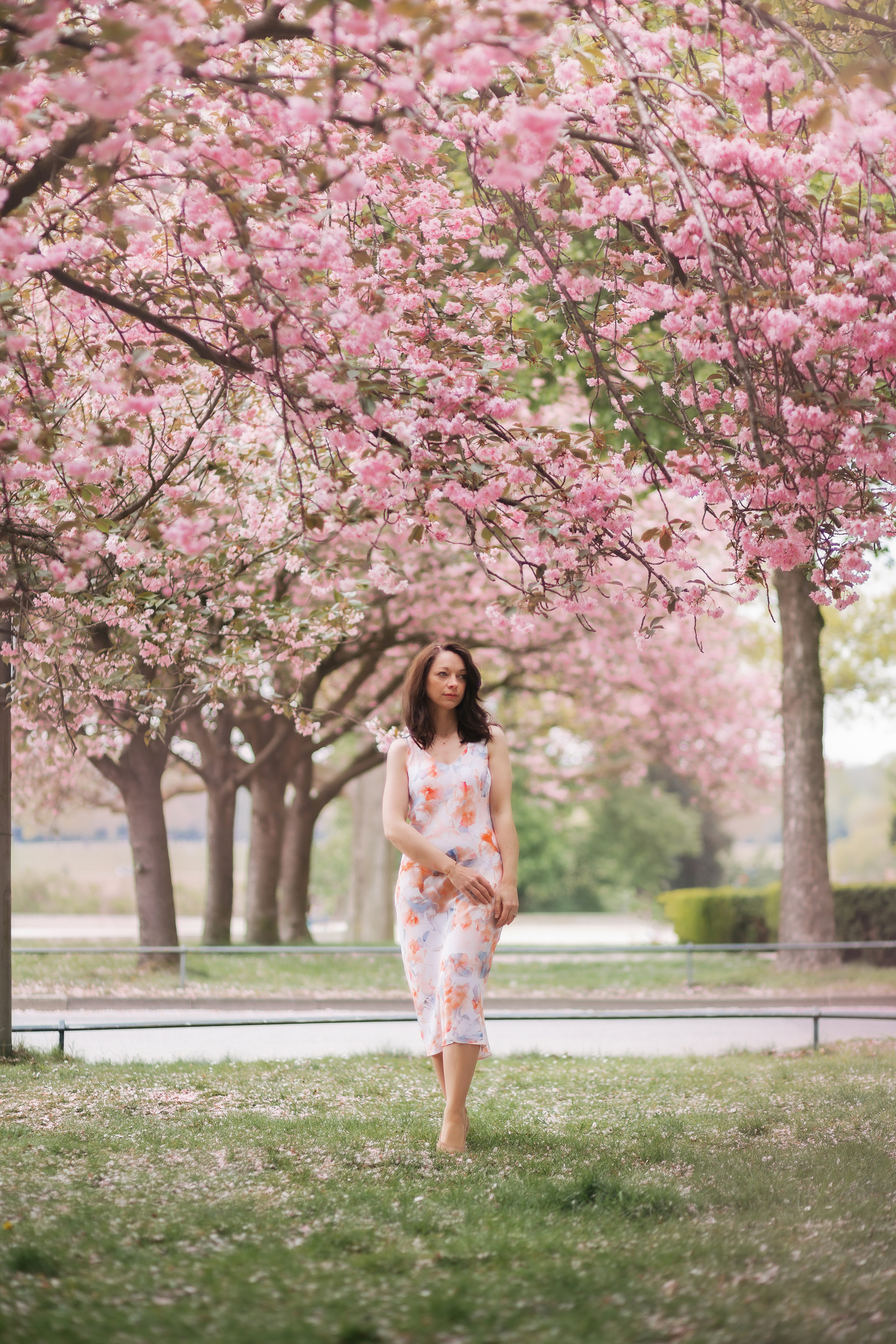 Цветение Настя. Fotografin Hamburg Reinbek Elizaveta Romanova